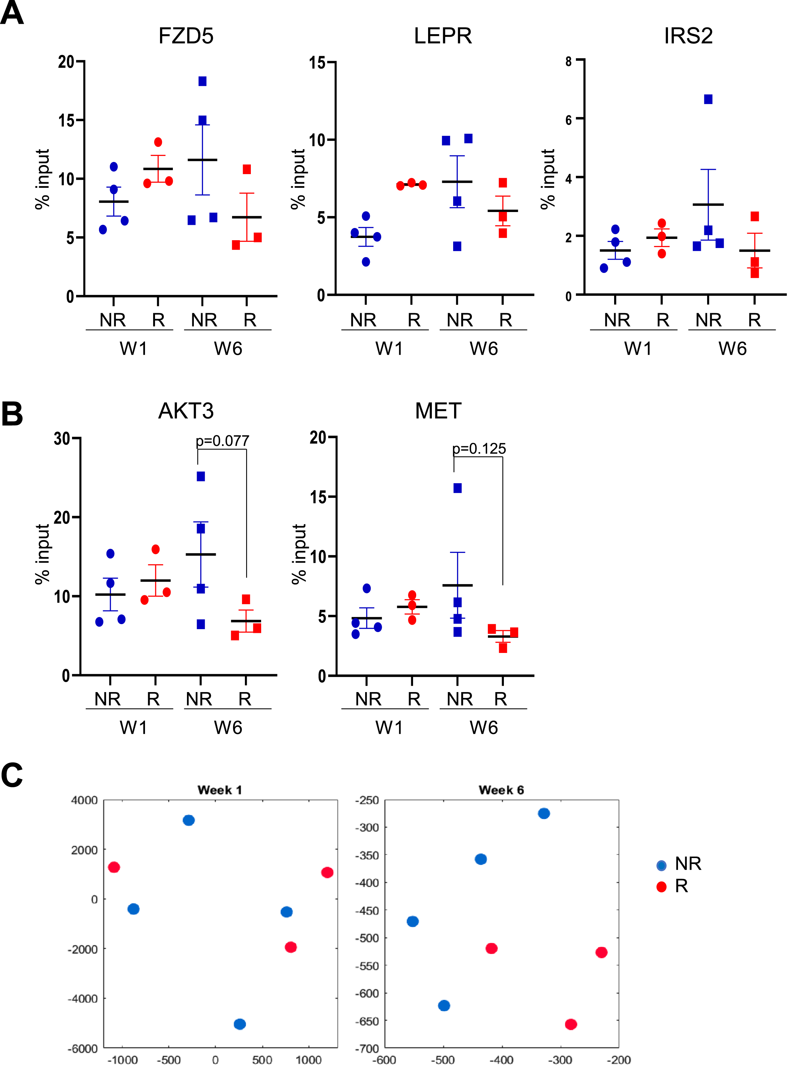 Methylation levels on monocytes from an independent validation cohort of patients at gene promoters previously identified as enriched in the original group of patients without early disease recurrence. A) H3K4me3 in monocytes at gene promoters for FZD5, LEPR and IRS2 genes. B) H3K4me3 in monocytes at gene promoters for AKT3 and MET genes. C) Two-dimensional t-SNE embeddings of ChIP-qPCR data from monocytes of a validation cohort at week one (left panel) and week six (right panel). Blue solid shapes: monocytes from patients with no early recurrence (NR) used for ChIP-seq; red solid shapes: monocytes from patients with early recurrence (R) used for ChIP-seq.
