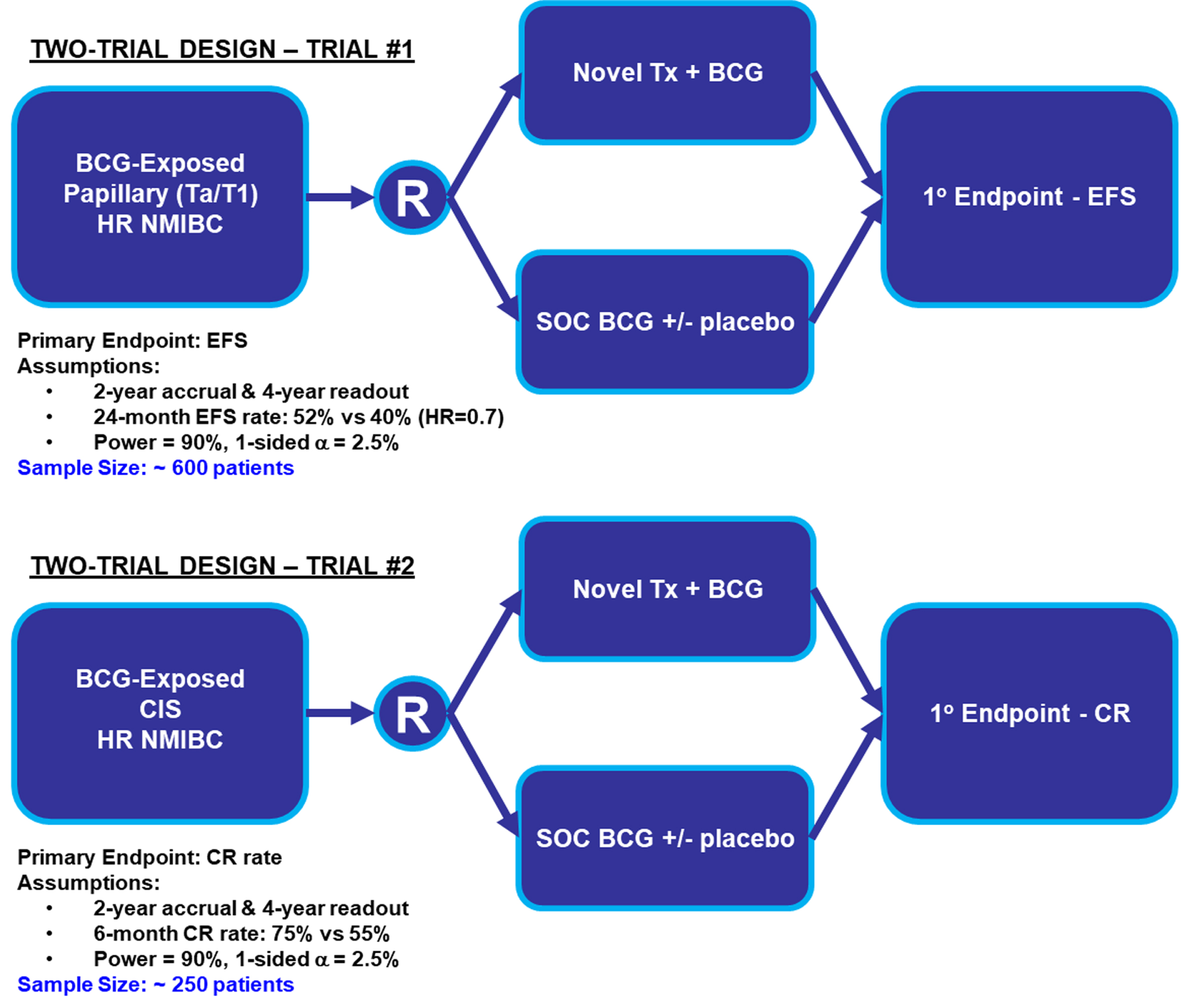 Two-Trial Design Simulation Investigating Papillary (Ta/T1) and CIS Patients Separately. Abbreviations: BCG: Bacillus Calmette-Guerin; CIS: carcinoma in situ; CR: complete response; EFS: event-free survival; HR NMIBC: high-risk non-muscle invasive bladder cancer; SOC: standard of care; Tx: treatment.