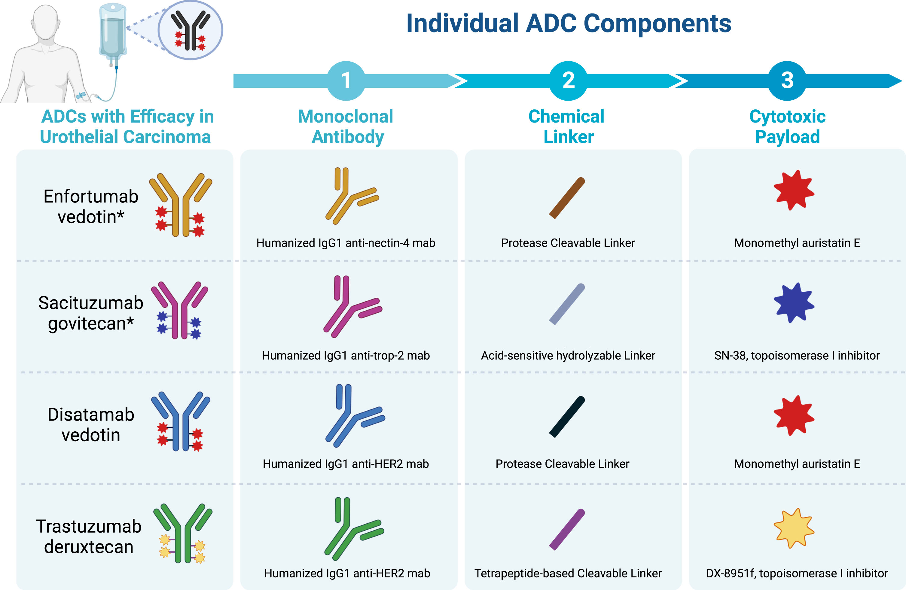 Select Antibody Drug Conjugates with efficacy in metastatic urothelial carcinoma and their constituent monoclonal antibodies, linkers, and payloads. Abbreviations: ADC = antibody drug conjugate; mab = monoclonal antibody. *US FDA approved.