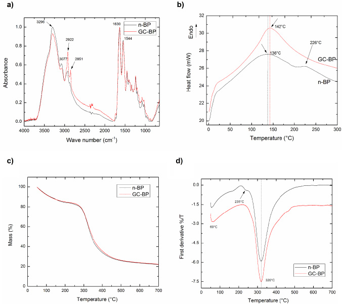 Physicochemical characterization of scaffold. (a) FTIR Spectra, the spectra was normalized with respect to the band of a maximal intensity in amide I region (1630 cm−1). (b) DSC thermograms, ENDO shows the endothermic orientation. (c) TGA, (d) DTGA. Black line and red line represent the n-BP and GC-BP, respectively. The arrows indicate the maxim point in the spectra.
