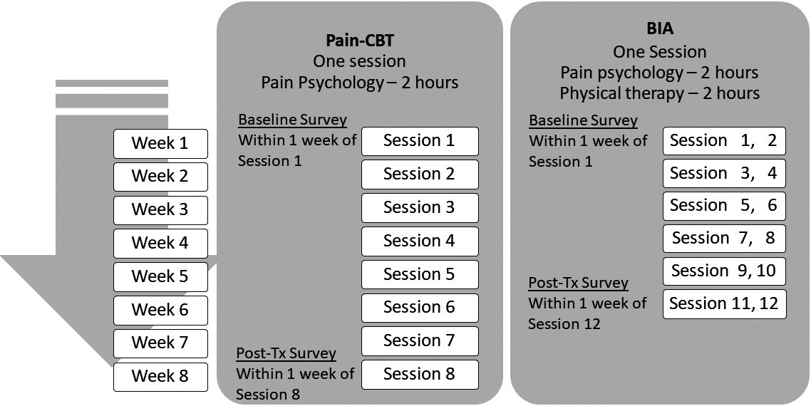 Comparison of survey administration and the treatment course for Pain-CBT and BIA programs. Post-Tx: post-treatment.
