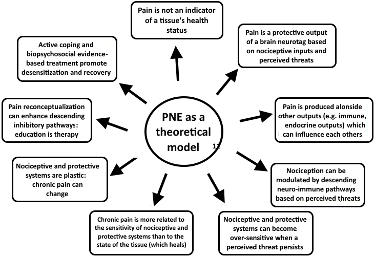PNE as a theoretical model.
