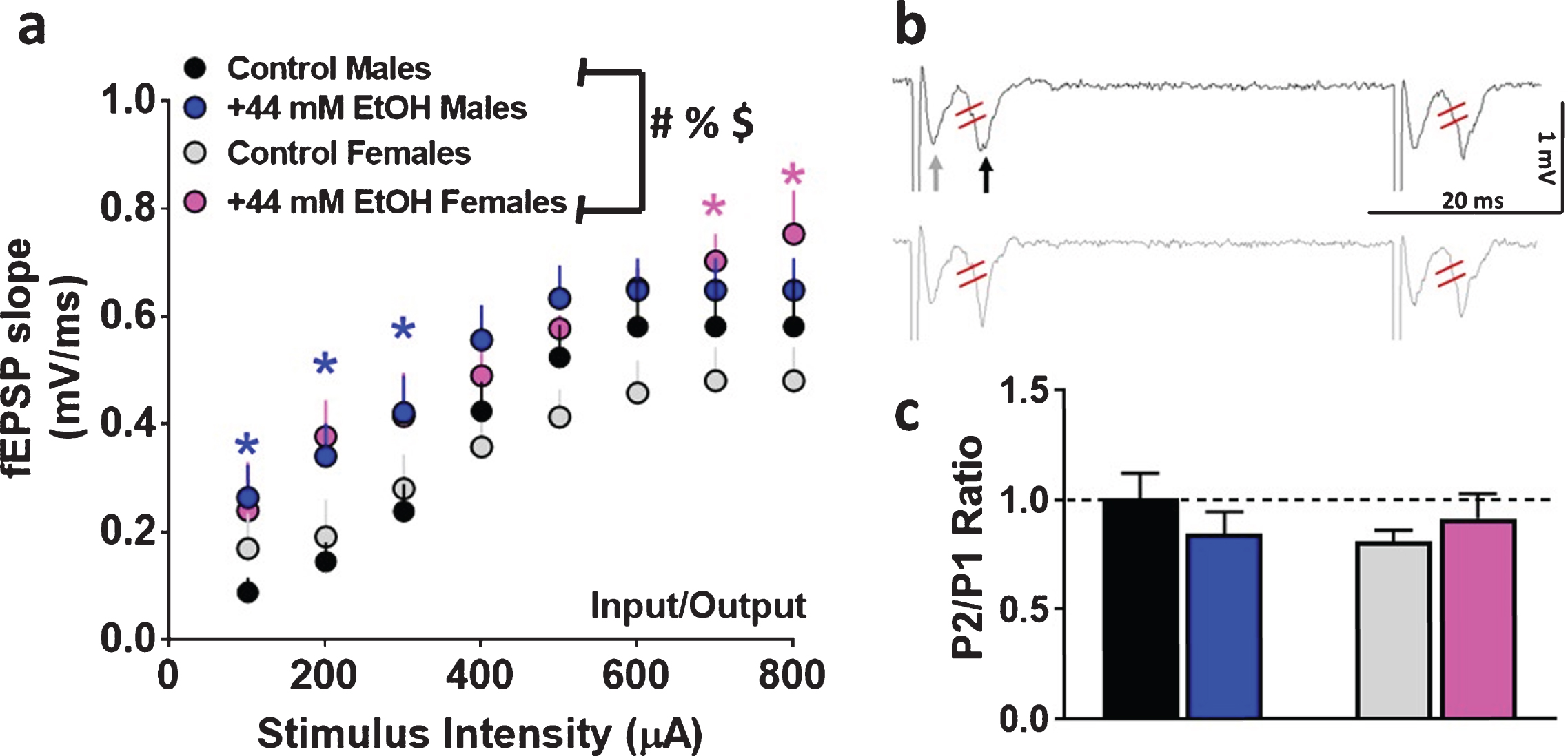 Basal synaptic transmission and short-term plasticity in dorsomedial striatal slices from adult male and female rats. (a) Input/output (I/O) curve obtained by plotting the slope of fEPSPs as a function of the stimulation intensity (from 100 to 800μA) in the dorsomedial striatum. (b) Representative raw trace of paired-pulse from one control male (black, top trace) and one control female (gray, bottom trace) rat. Gray arrow in the top trace points to fiber volley and black arrow in the top trace points to fEPSPs. fEPSP slope was measured between the two red lines. (c) Paired-pulse ratio recorded from one interstimulus interval at 50 ms. Data are represented as mean±S.E.M.. Number of slices: n = 14 control male, n = 13 EtOH male, n = 9 control female, n = 8 EtOH female. #p < 0.05 significant interaction, %p < 0.05 main effect of EtOH, $p < 0.05 main effect of stimulus intensity by three-way ANOVA. *p < 0.05 vs. control group within each sex by Fisher’s LSD post-hoc tests.