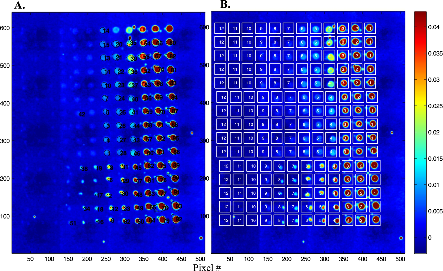 Analysis of the protein microarray described in Fig. 2. (A) An image segmentation procedure allows to draw the boundaries of each spot. All spectra present within these boundaries are extracted and averaged. (B) A regular grid of squares is placed on the microarray, all spectra present in each square are extracted and averaged.