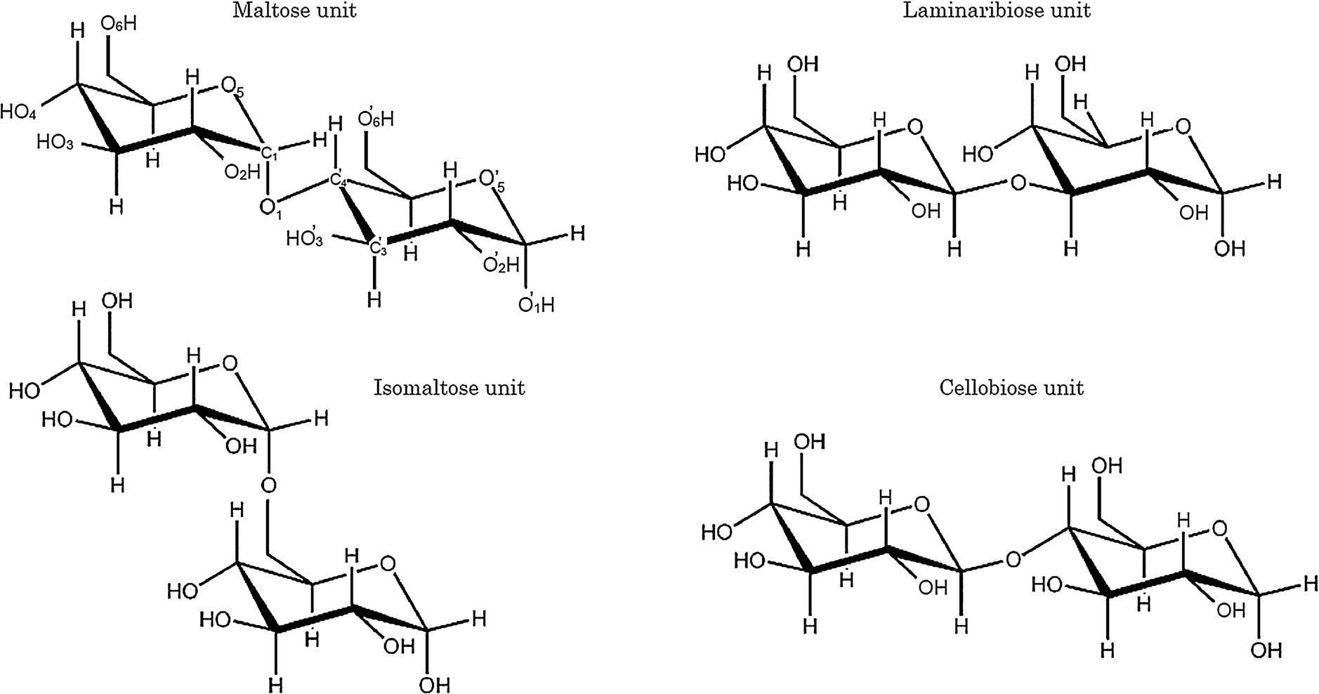 Chemical structures of disaccharide units of the malto-, laminari-, isomalto-, and cello-oligosaccharide series examined in this study.