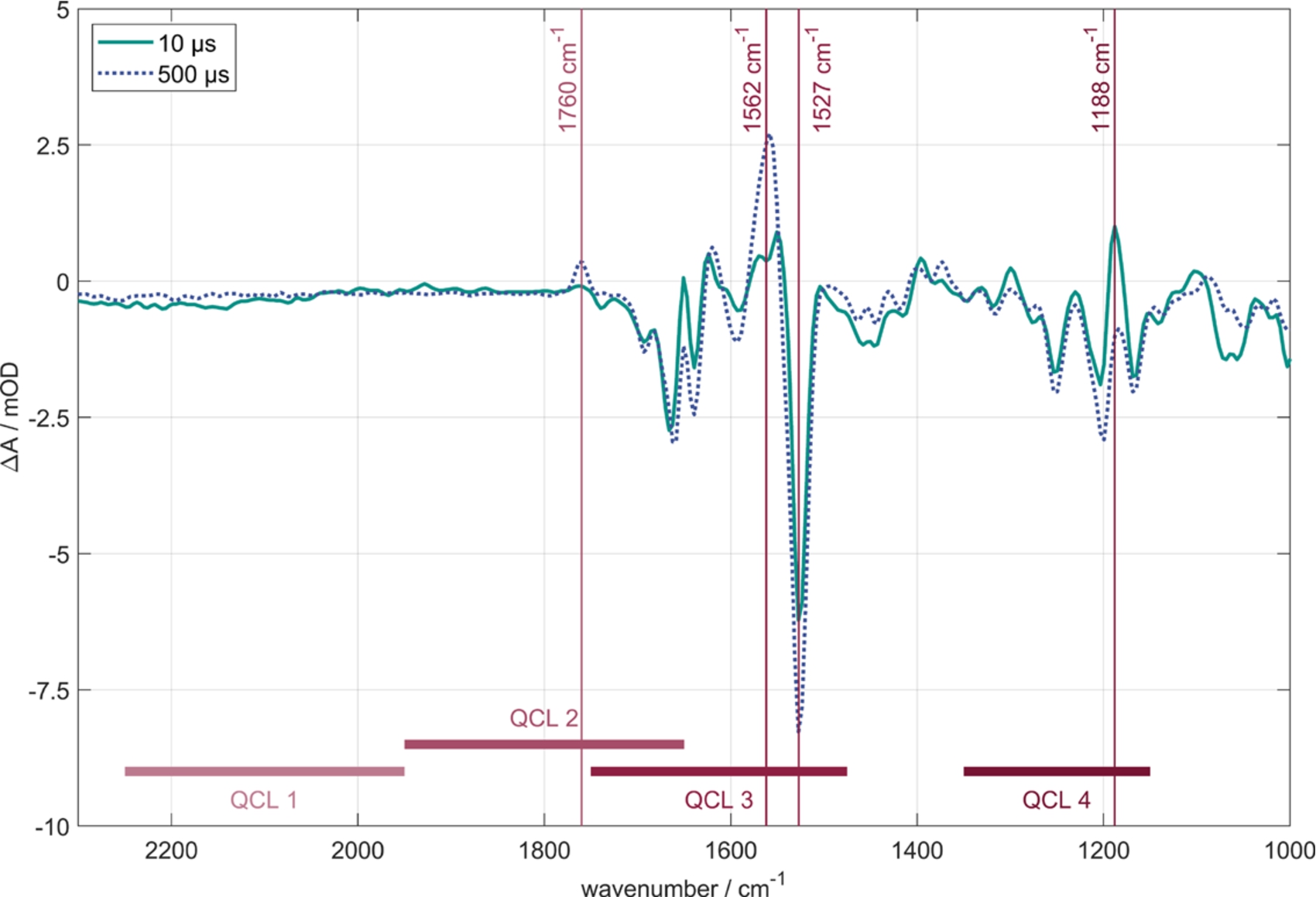 Time-resolved FTIR difference spectra of BR in purple membrane at 10 μs (grey line) and 500 μs (dashed line) after photoexcitation. Marked by vertical lines are the four probe wavenumbers for the QCL measurements. Corresponding transients are shown in Fig. 3. The spectral ranges of the four QCL-heads are displayed by horizontal lines.