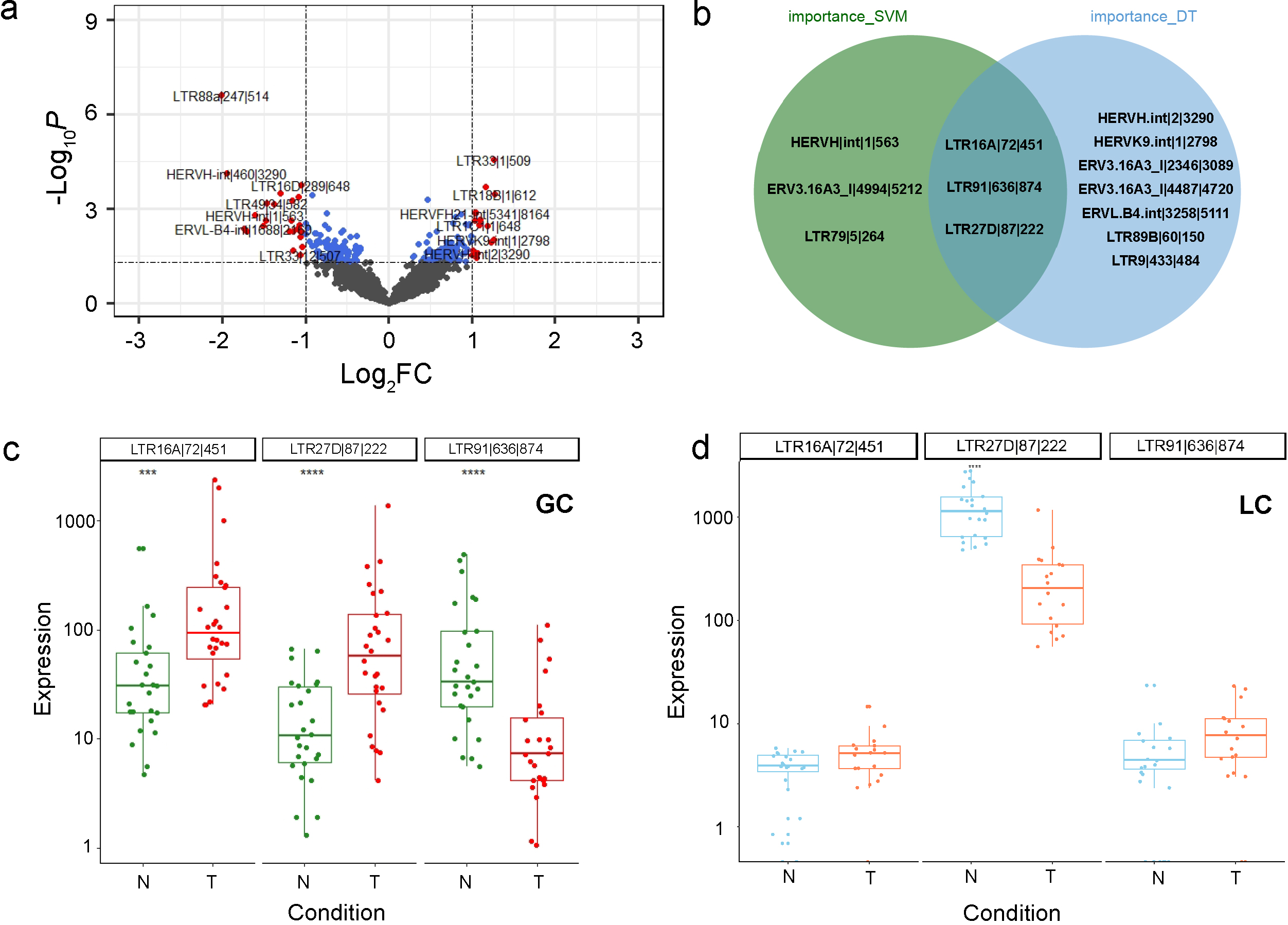 The differential expression analysis of HEARVs. (a) Differential HERVs in the gastric cancer dataset were screened based on the criteria of |log2FC|> 1 and p< 0.05. (b) The intersection of the results obtained from the SVM and AdaBoost algorithms. (c) The expression profiles of three potential HERV markers in normal and tumor groups of the gastric cancer dataset. The expression data are presented as log-transformed TPMs. (d) The expression profiles of the three potential HERV markers in normal and tumor groups of lung adenocarcinoma samples. The expression data are presented as log-transformed TPMs.