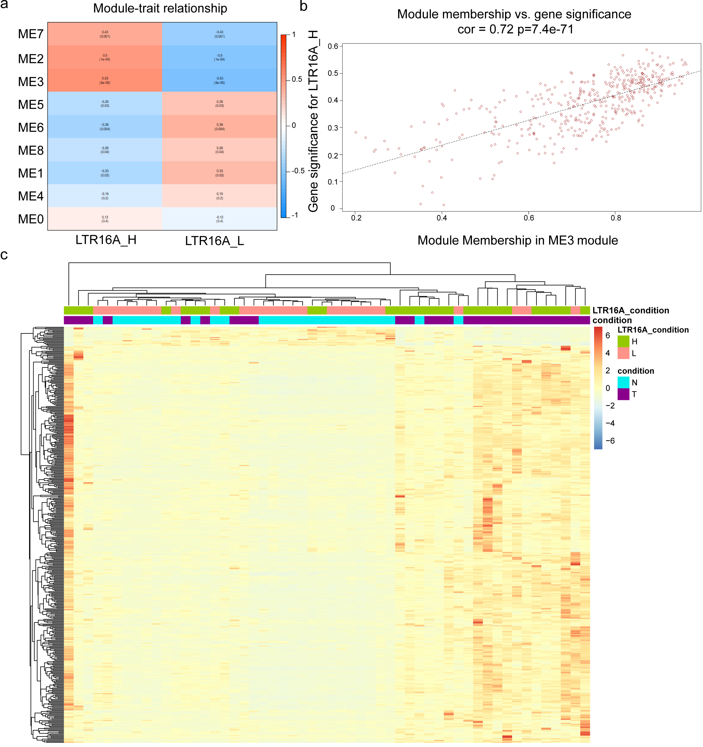 The WGCNA analysis of protein-coding genes related with HERVs-elevation. (a) the correlation between gene sets identified by WGCNA and LTR16A|72|451 high (LTR16A_H) and low (LTR16A_L) expression status. (b) The correlations between genes and HERVs expression status within ME3 module, the horizontal axis represents correlation coefficients between genes and modules, while the vertical axis represents the correlation coefficient between genes and LTR high expression. (c) The cluster profiles of protein coding genes in the ME3 module in gastric cancer samples.