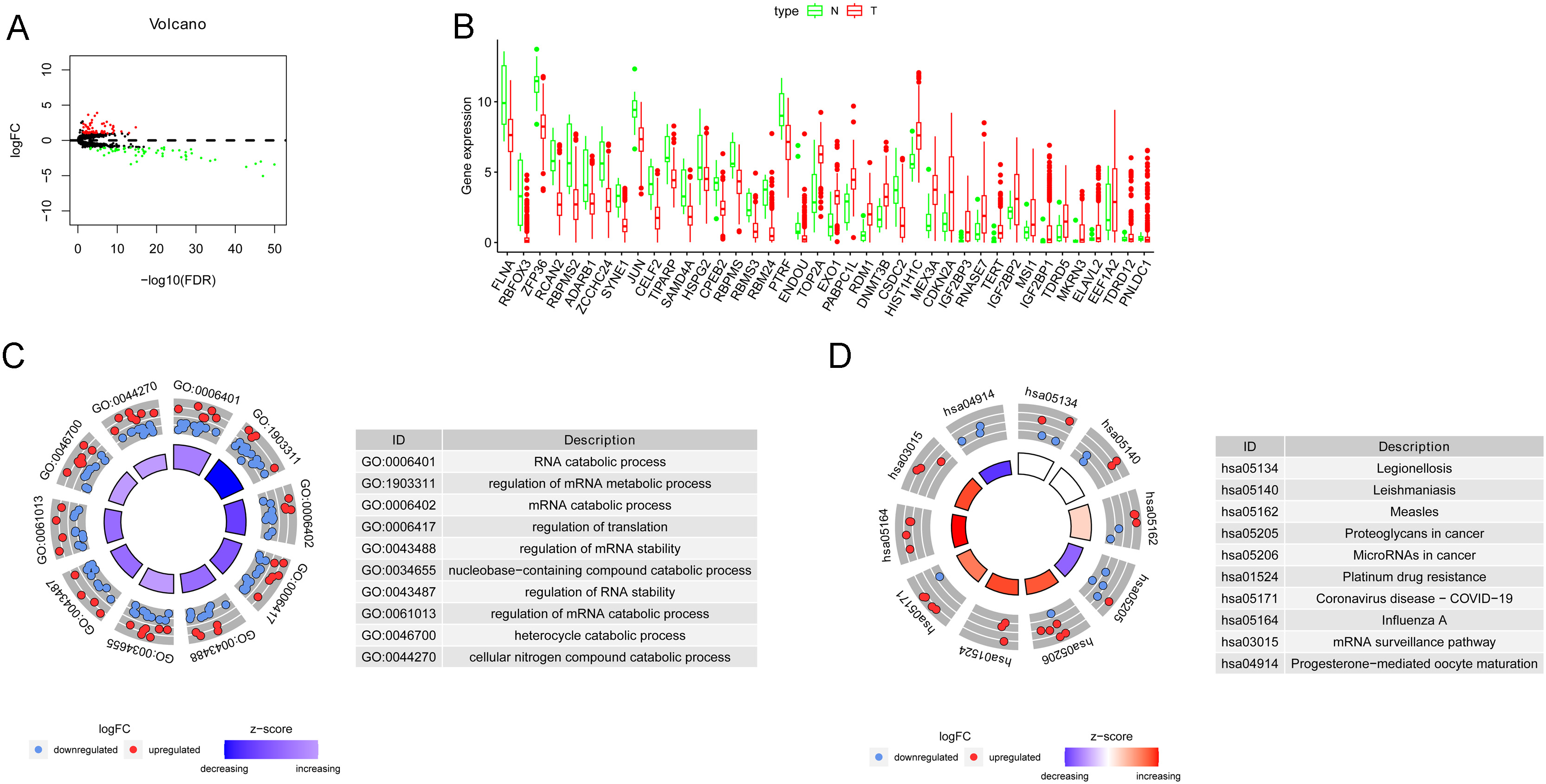 DERBPs in BLCA and functional enrichment analysis. (A) Volcano plot and (B) boxplot of the top 20 upregulated and top 20 downregulated DERBPs in BLCA cancer tissues compared to normal tissues. (C) GO enrichment analysis of DERBP genes visualized by circle plot. (D) KEGG enrichment analysis of DERBP genes visualized by circle plot.