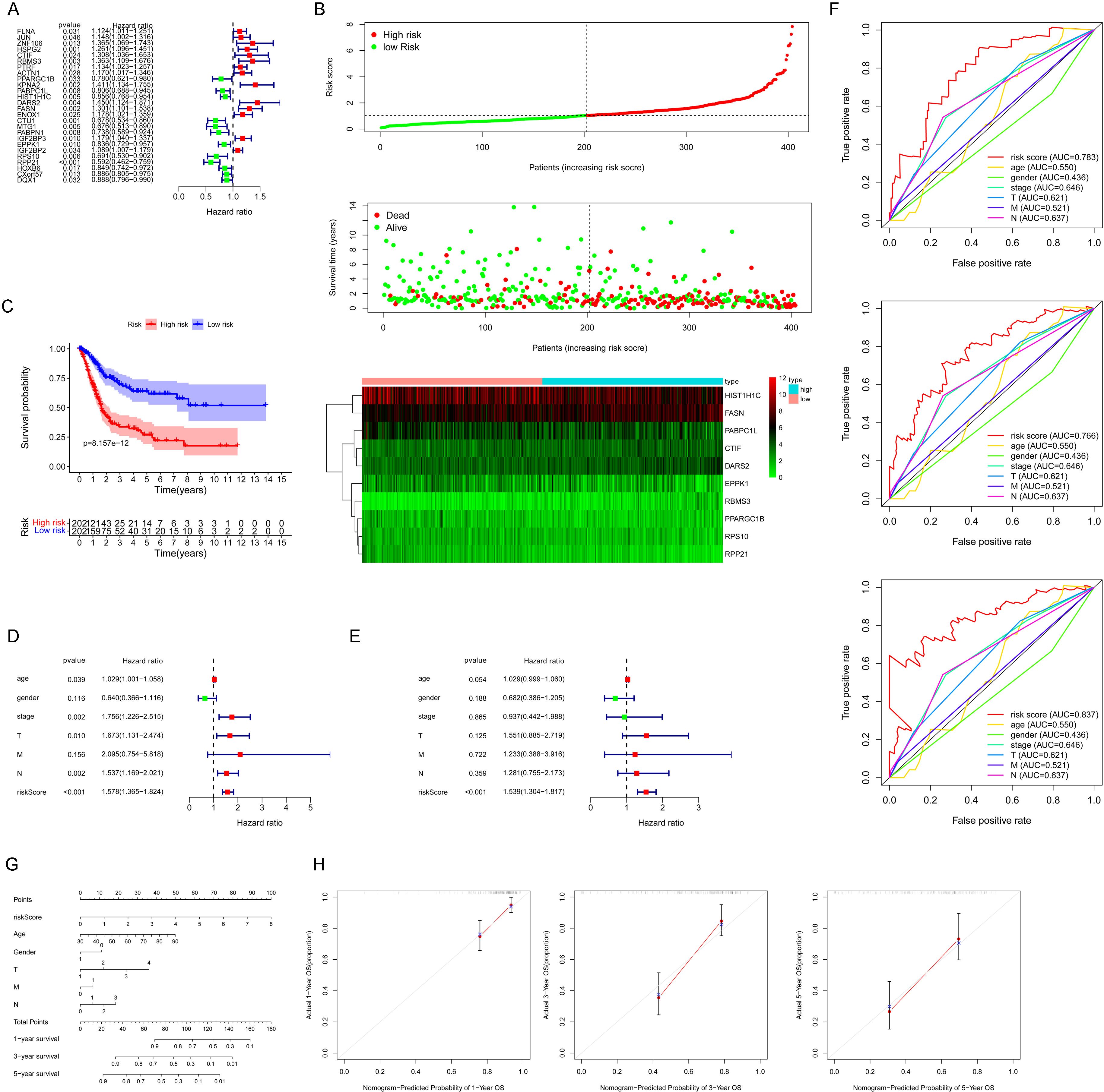 Construction and verification of the prognostic DERBP signature. (A) Survival-related DERBPs were obtained by univariate Cox regression, P< 0.05. The prognostic DERBPs were visualized by forest plot. (B) Risk score model, survival status, and expression levels of the 10 signature genes in TCGA-BLCA cancer patients. (C) Kaplan–Meier survival analysis of TCGA-BLCA cancer patients based on risk score. (D) Univariate Cox regression and (E) multivariate Cox regression analysis of the risk score and different clinical features. (F) ROC curves demonstrated the predictive prognostic value of risk score at 1, 3, and 5 years. (G) Nomogram consisting of age, gender, T/M/N, and risk score based on the 10 hub DERBPs. (H) Calibration curve for validation of the nomogram for estimating patient survival at 1, 3, and 5 years.