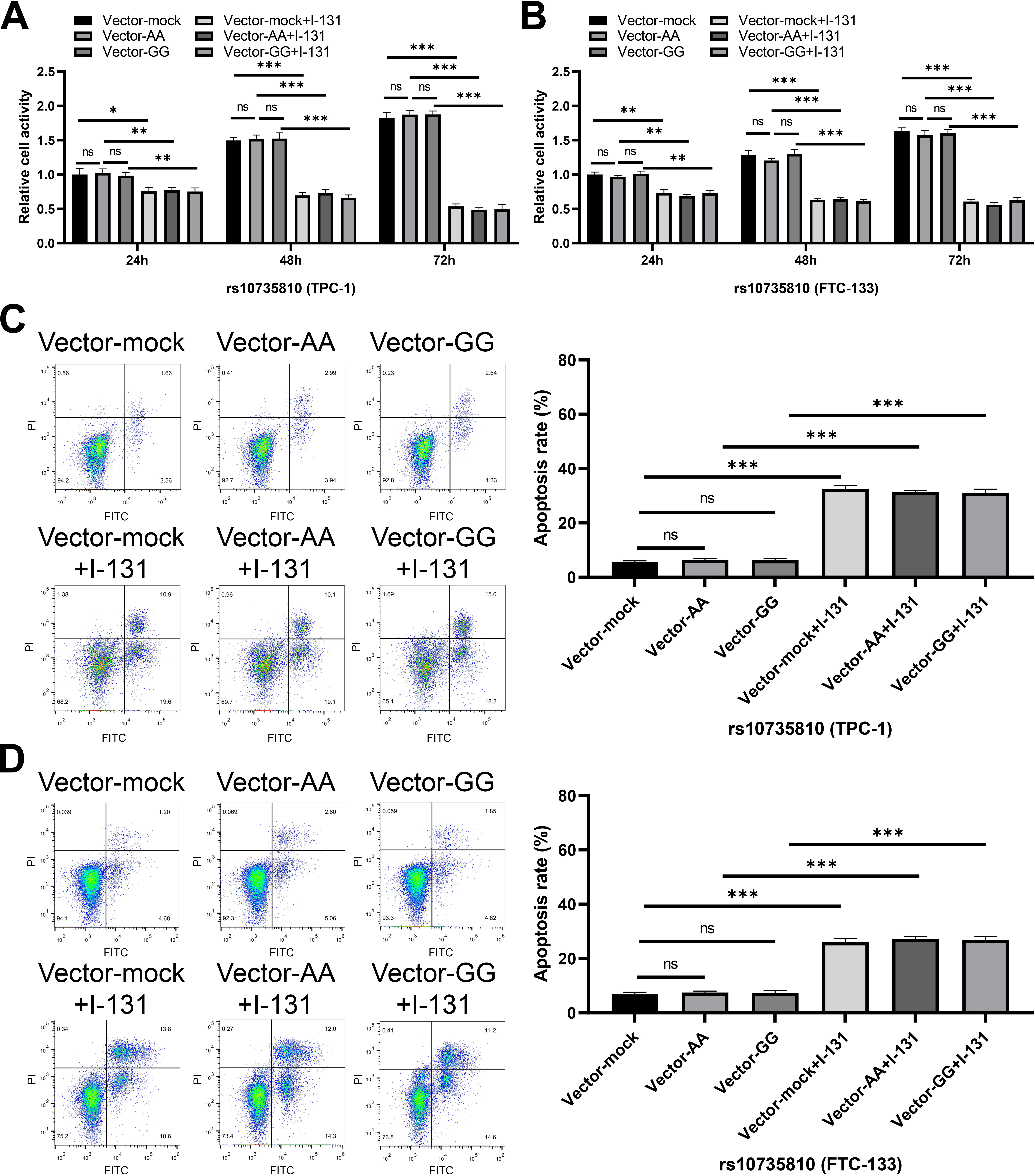 The effect of rs10735810 on proliferation and apoptosis of thyroid cancer cells. (A–B) The proliferation activity of TPC-1 (A) and FTC-133 (B) cells in different treatment groups (rs10735810) was analyzed via CCK-8 assay. Data are represented as mean ± SD from three independent experiments. (ns represents no significant difference, *P < 0.05, **P < 0.01, ***P < 0.001). (C–D) The apoptosis level of TPC-1 (C) and FTC-133 (D) cells in different treatment groups (rs10735810) was analyzed via flow cytometry. Data are represented as mean ± SD from three independent experiments. (ns represents no significant difference, ***P < 0.001).