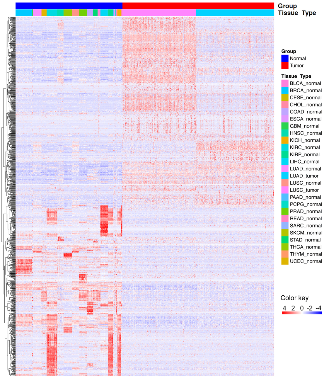 Hierarchical clustering shows that differentially expressed lncRNAs clearly separate tumor tissues from normal tissues.