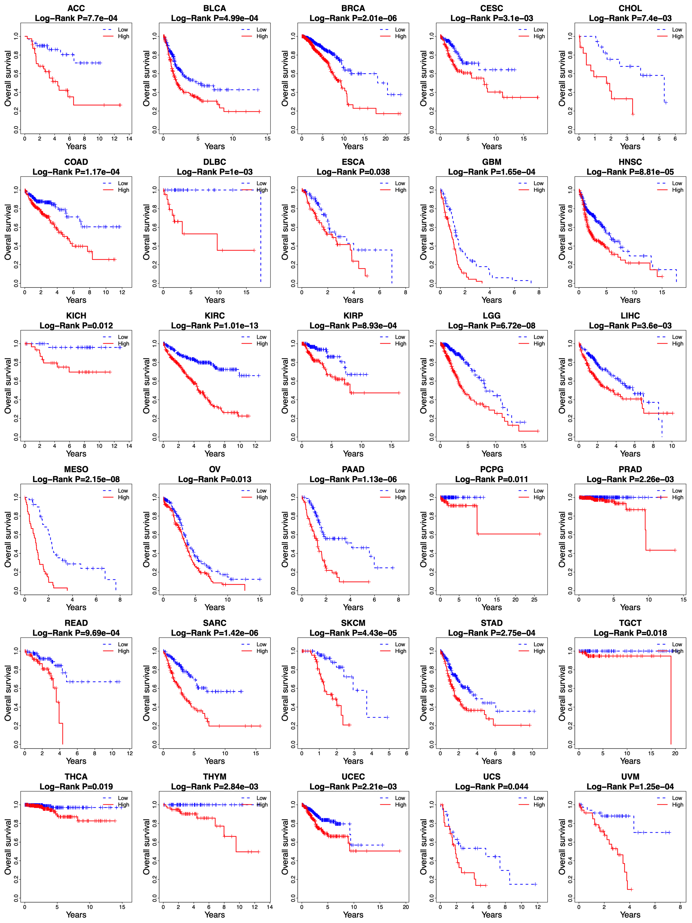 Kaplan-Meier curves of overall survival between low-risk and high-risk groups in other 30 cancer types in the TCGA database.