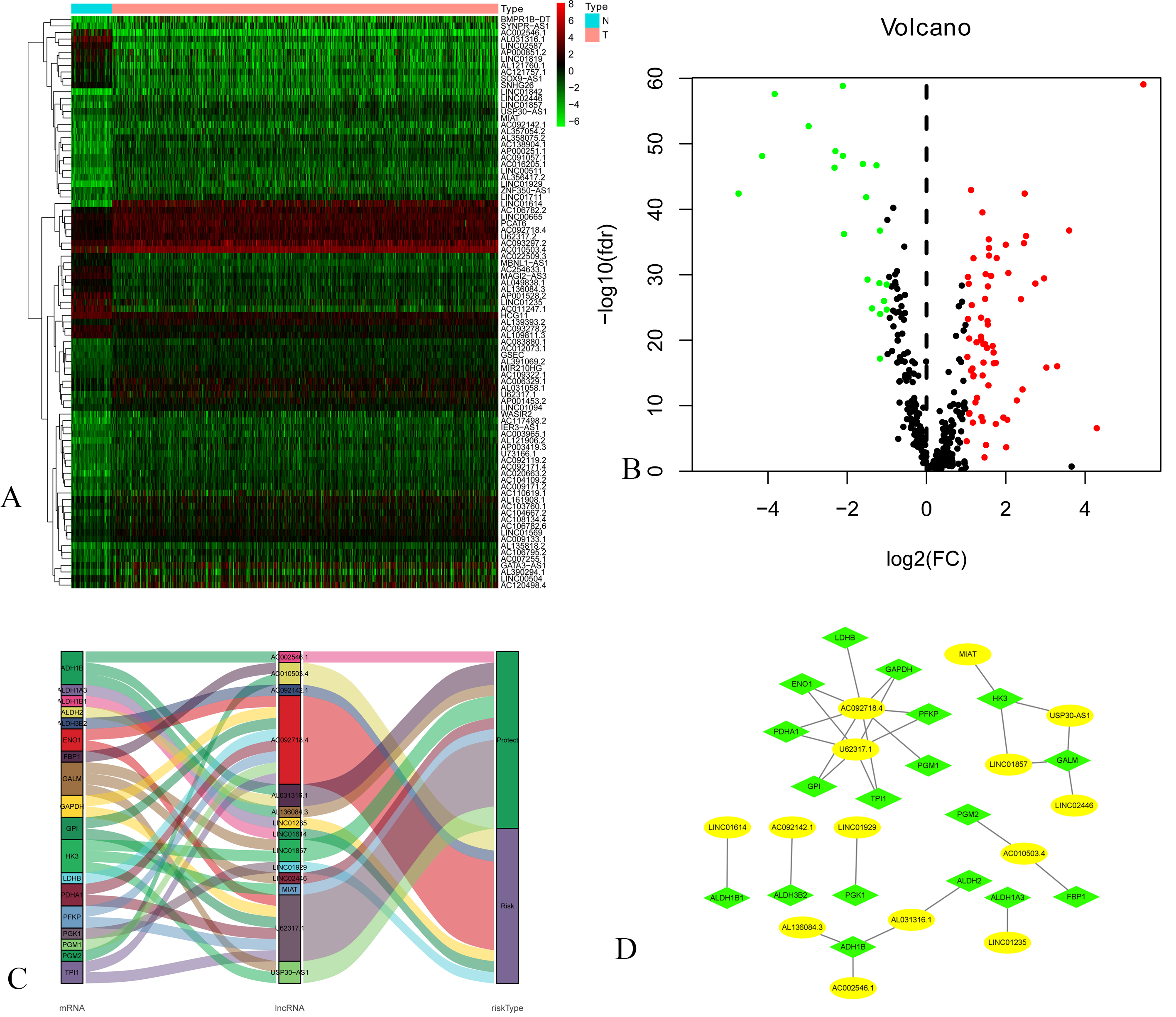 A: Heatmap of DEGs Blue and red indicate lower expression and higher expression. B: Volcano map of expression of Glycolysis-related lncRNAs. C: The Sankey diagram listed the relationship of 14 lncRNAs and 18 mRNAs. D: The co-expression network listed the relationship of 14 lncRNAs and 18 mRNAs.