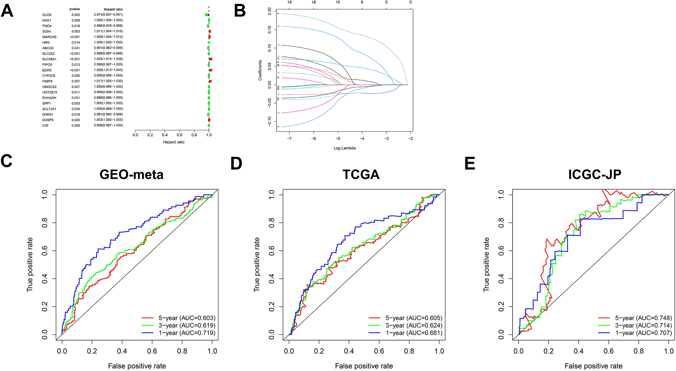 Construct and validate the prognosis model of HCC. A. In the TCGA-LIHC dataset, the prognostic significance of 47 genes was further identified and analyzed. B. Using lasso regression analysis, identify important prognostic related genes in the GEO-meta dataset. C. Multivariate Cox regression was used to construct a prognostic model, and ROC curve was used to evaluate the discrimination efficiency. D. Verify the above model in TCGA-LIHC dataset. E. Verify the above model in ICGC-JP dataset.