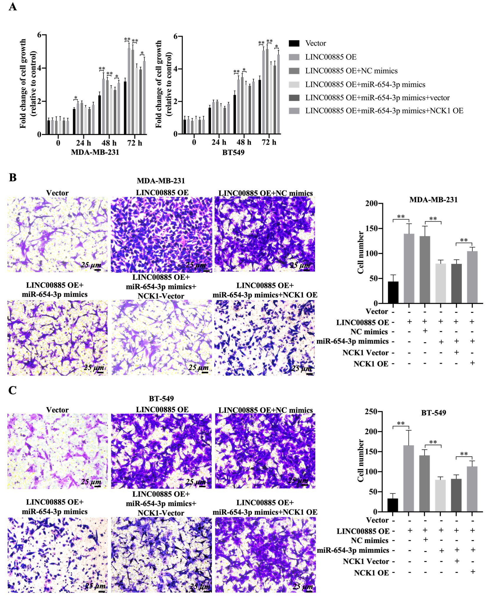 Effect of LINC00885/miR-654-3p/NCK1 pathway on the migration of triple-negative breast cancer cells. MDA-MB-231 and BT549 cells were transfected with pcDNA3.1-LINC00885, pcDNA3.1-LINC00885 + NC-shRNA, pcDNA3.1-LINC00885 + mir-654-3p mimic and pcDNA3.1-LINC00885 + mir-654-3p mimic + pcDNA3.1-NCK1. (A) Reverse transcription-quantitative PCR was used to observe the growth of MDA-MB-231 and BT549 cells. Migration of (B) MDA-MB-231 and (C) BT549 cells was measured using the Transwell assay. The relative quantitation of the transferred cells is illustrated in the right panel (scale bar, 25 μm). * P< 0.05 and ** P< 0.01. NCK1, noncatalytic region of tyrosine kinase 1; WT, wild type; MUT, mutation; R, Pearson’s coefficient; NC, negative control; pcDNA3.1, plasmid NC; si-RNA, small interfering RNA; pcDNA3.1-LINC00885, LINC00885-overexpression plasmid; siRNA-LINC00885, siRNA targeting LINC00885; anti-miR, miR inhibitor; pcDNA3.1-NCK1; NCK1-overexpression plasmid.