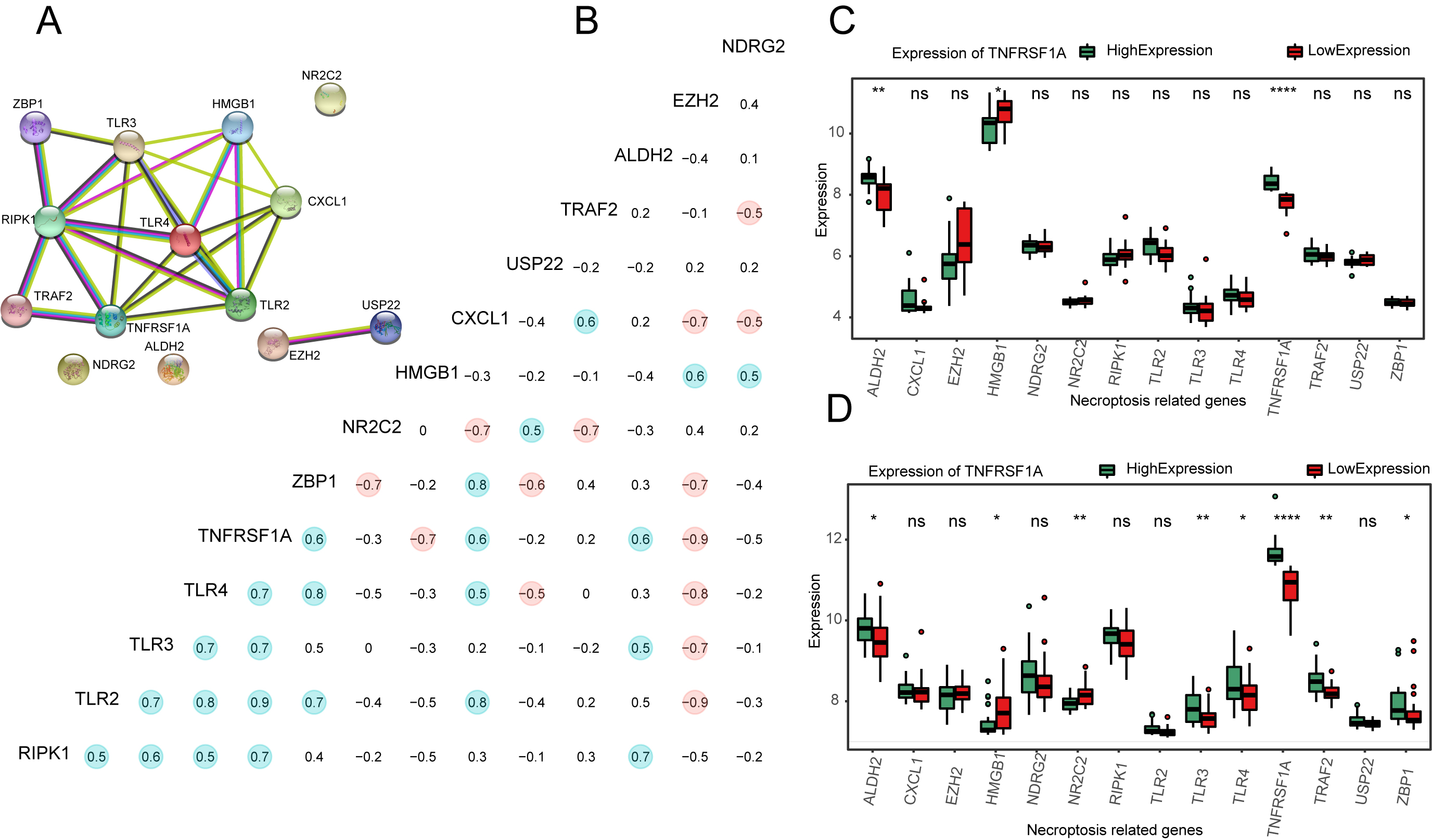 Effect of TNFRSF1A expression grouping on immunotherapy in three datasets. (a–c) Expression of immune checkpoints CTLA4, LAG3, and TIGIT in the TARGET-OS cohort, GSE16091, and GSE21257 datasets. (d–g) Stromal score (d), immune score (e), estimate score (f), and tumor purity (g) were calculated using the TARGET-OS dataset in both the TNFRSF1A high- and- low-expression groups.