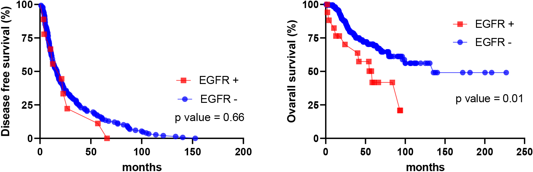 EGFR expression vs DFS (left) and OS (right) in cohort 2.
