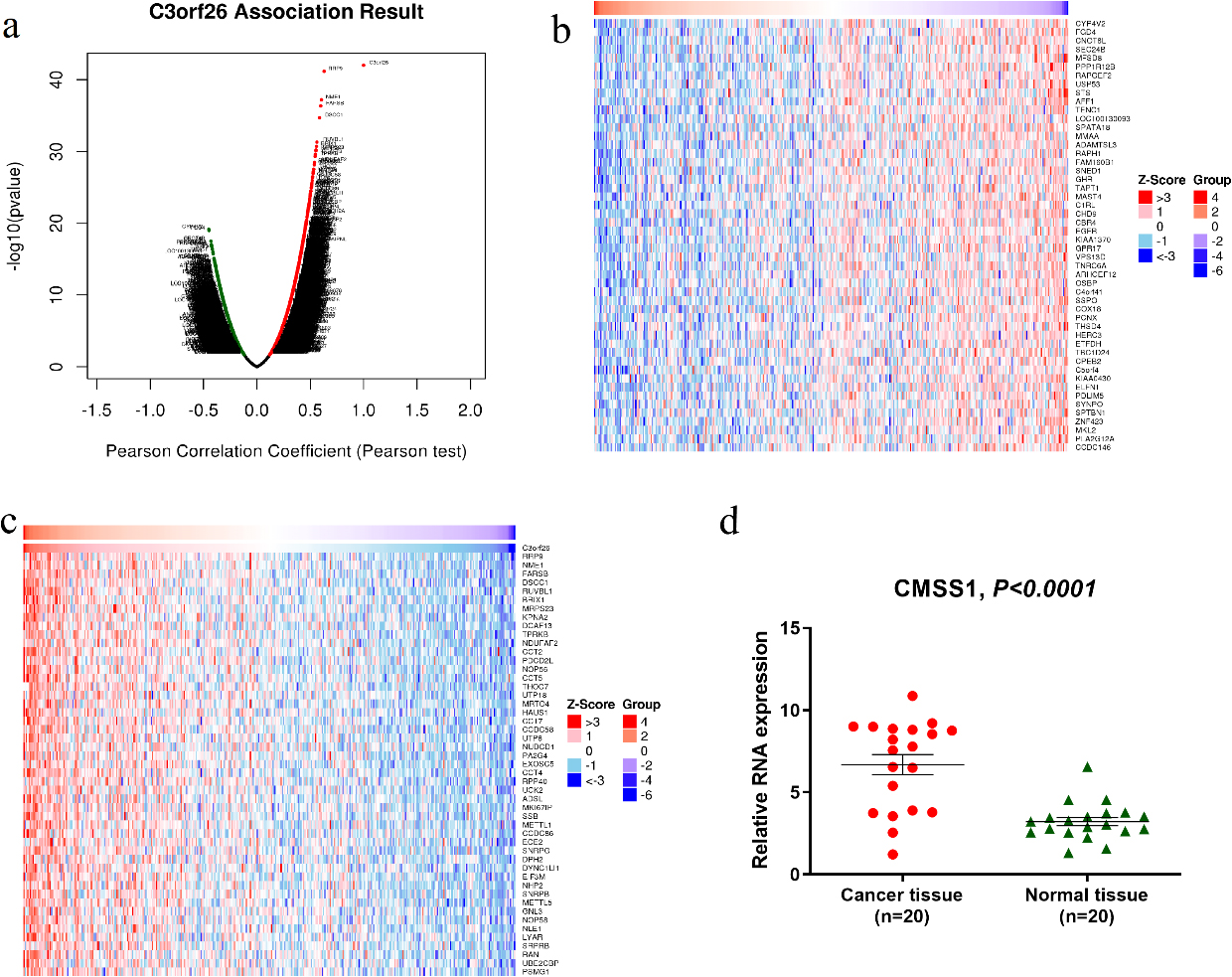 Differentially expressed genes related to CMSS1 in LIHC (C3orf26 is the alias of CMSS1 gene). (a) Pearson test to analyze the genes associated with CMSS1 expression in LIHC (b, c) Heat maps shows the genes positively and negatively associated with CMSS1 in LIHC (top 50). Red indicates positively correlated genes and green indicates negatively correlated genes. (d)The mRNA expression of CMSS1 in HCC tissues was significantly higher than that in normal liver tissues. 
