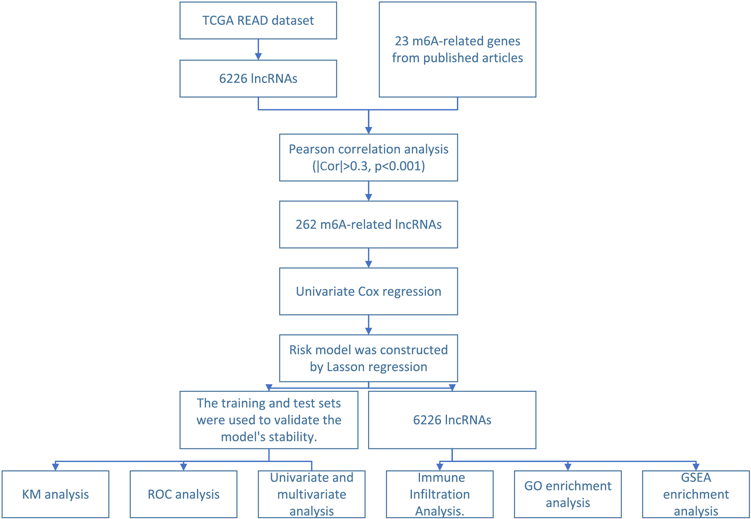 Schematic diagram of m6A-related lncRNA screening and functional verification.