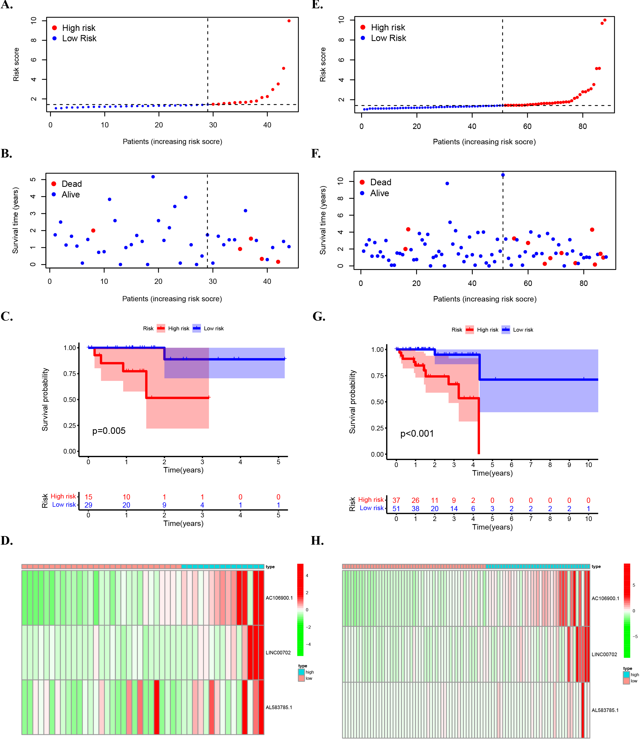 The prognostic value of risk patterns in testing set and entire set. (A) Distribution of m6A-related lncRNA model-based risk score for the testing set. (B) Patterns of the survival time and survival status between the high- and low-risk groups for the testing set. (C) Kaplan-Meier survival curves of the OS of patients in the high- and low-risk groups for the testing set. (D) Clustering analysis heatmap shows the display levels of the 3 prognostic lncRNAs for each patient in the testing set. (E) Distribution of the m6A-related lncRNA model-based risk score for the entire set. (F) Patterns of the survival time and survival status between the high- and low-risk groups for the entire set. (G) Kaplan-Meier survival curves of OS of patients in the low- and high-risk groups for the entire set. (H) Clustering analysis heatmap shows the expression levels of the 3 prognostic lncRNAs for each patient for the entire set. In this study, the median risk score was used to classify the high and low risk groups and was marked by a dashed line in the distribution map.