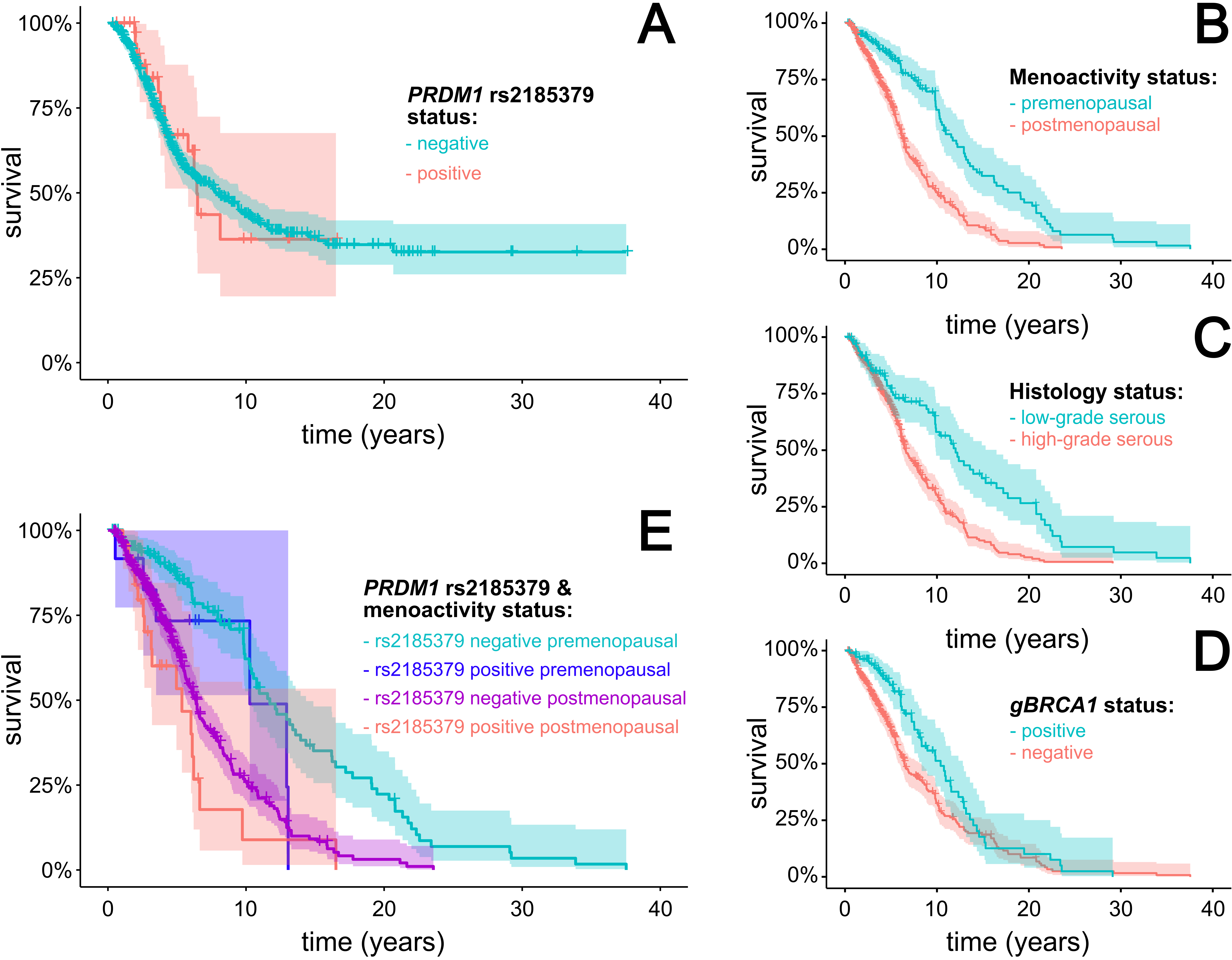 The effect of monitored variables on survival of patients diagnosed with advanced OC. Figure 1 shows univariate survival analysis of the PRDM1 rs2185379 status (Fig. 1A), menoactivity status (Fig. 1B), OC histology (Fig. 1C), germline BRCA1 mutation status (Fig. 1D), and multivariate analysis interrogating the effect of PRDM1 rs2185379 and the menoactivity status (Fig. 1E).