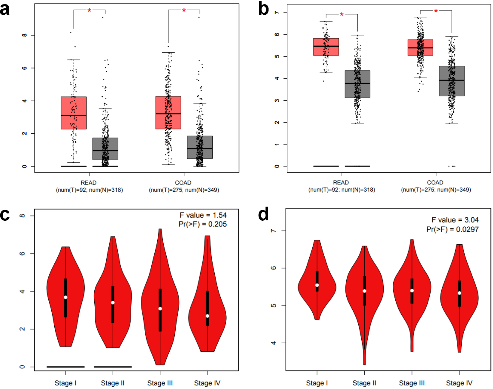 mRNA expression of IL1Band DDAH1 genes in control tissues and CRC (*P< 0.05). Adenocarcinoma is the most common type of colorectal cancer, accounting for more than 95% of colorectal cancer. COAD refers to colon adenocarcinoma, READ refers to rectum adenocarcinoma.