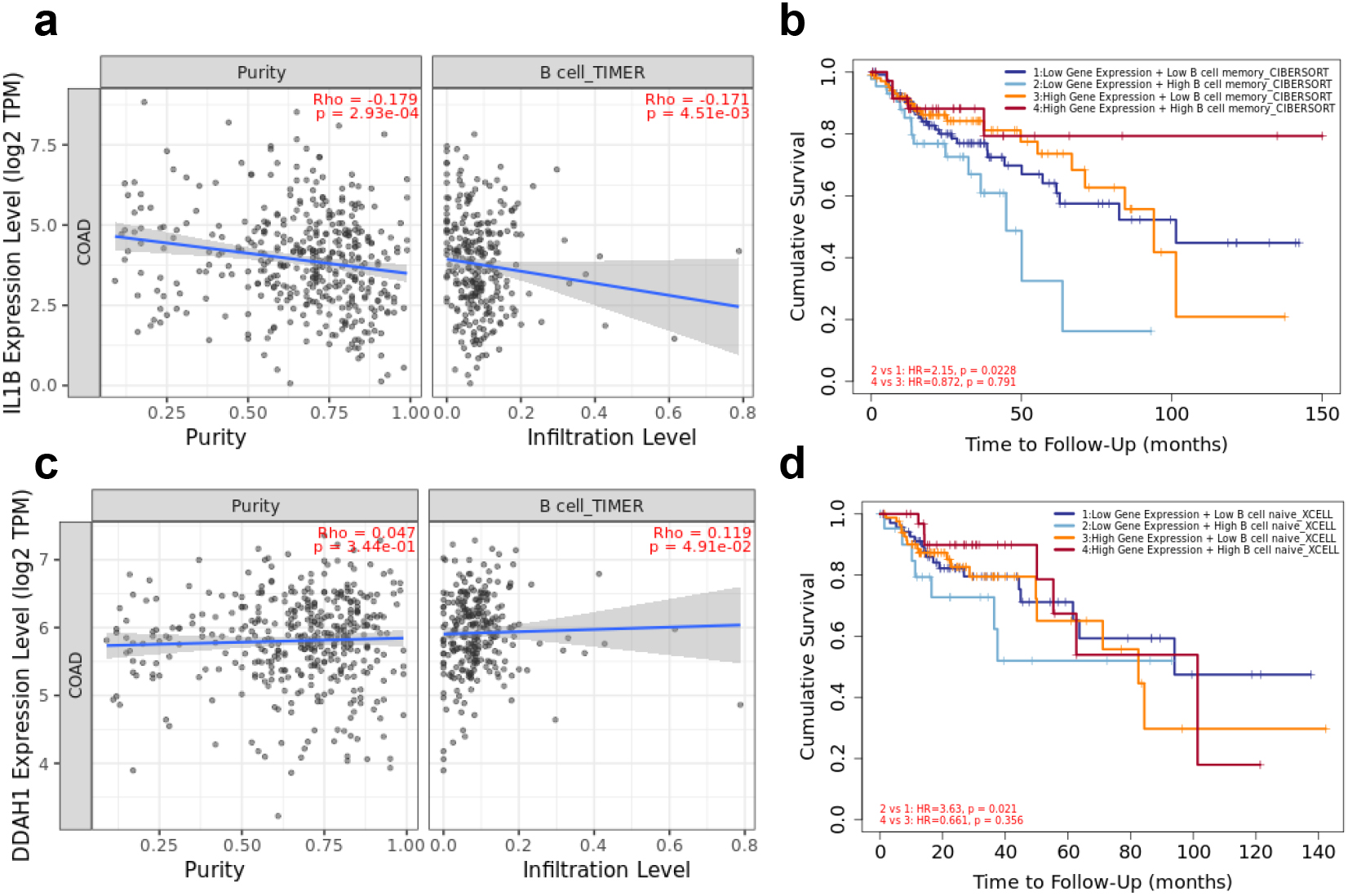 (a) The correlation analysis of IL1B and B lymphocyte expression level in CRC. (b) The prognostic value of IL1B and B lymphocyte patients in the survival curve. (c) The correlation analysis of DDAH1 and B lymphocyte expression level in CRC. (d) The prognostic value of DDAH1 and B lymphocyte patients in the survival curve.