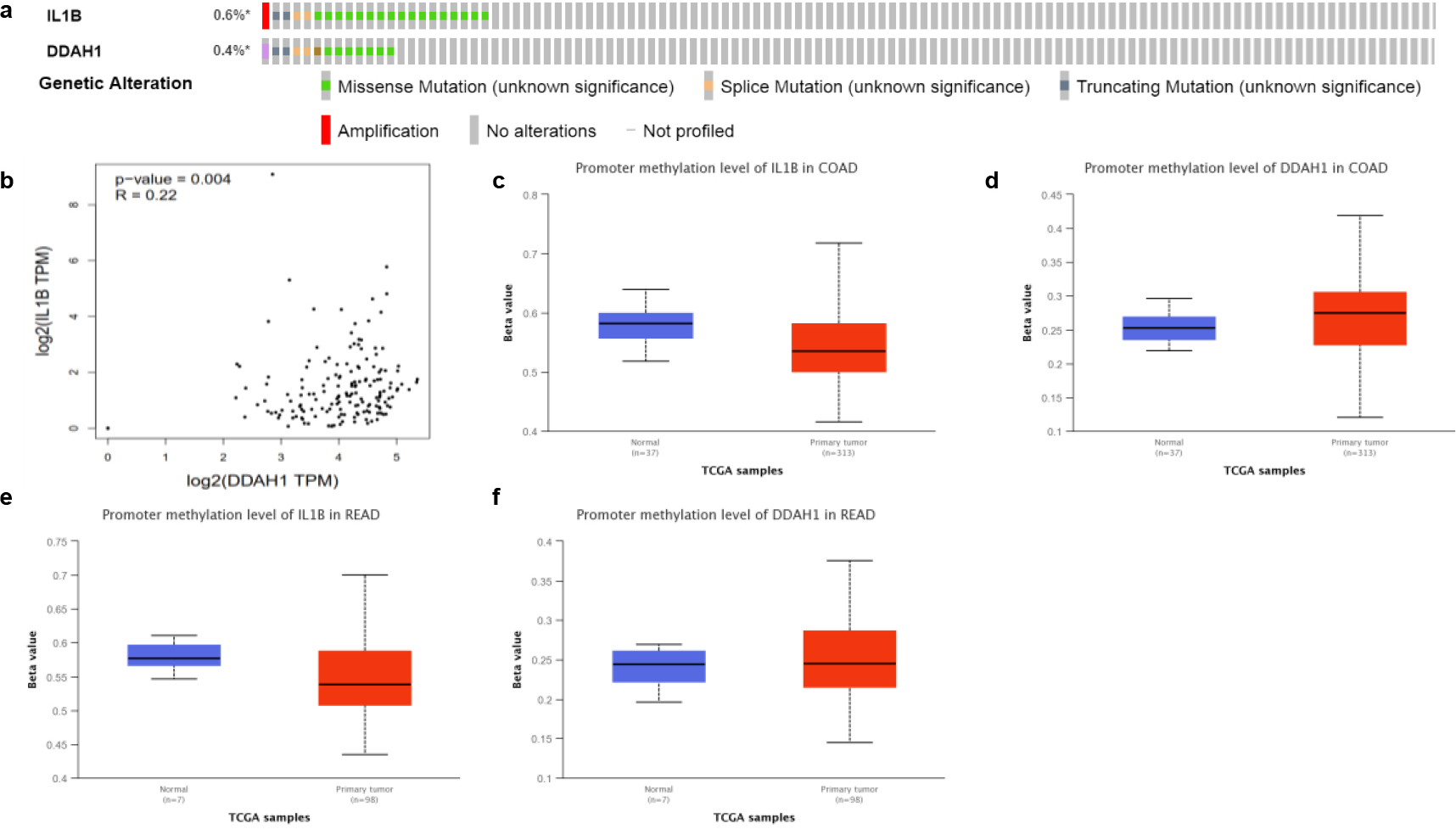 (a) The genetic alteration of IL1B and DDAH1. (b) The potential co-expression of IL1B and DDAH1. (c–f) Promoter methylation level of IL1B and DDAH1.