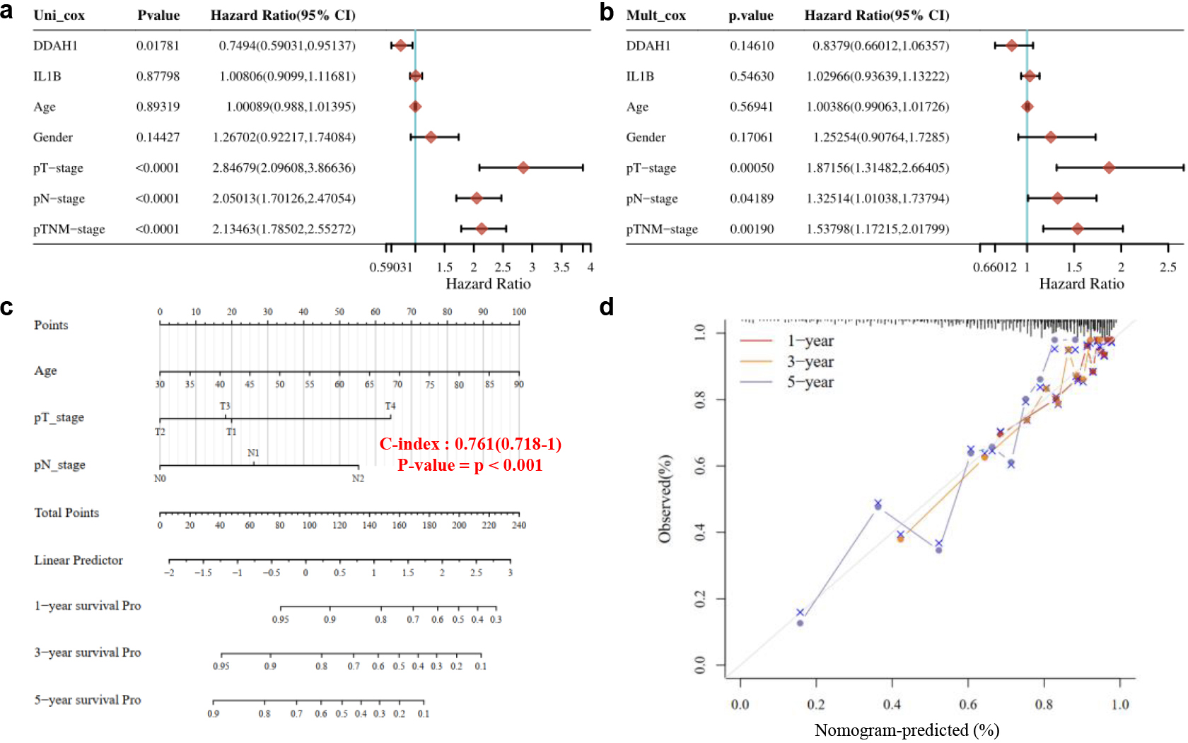 (a) Univariate cox regression analysis. (b) Multivariate cox regression analysis. (c) The predictive nomogram for RFS of CRC patients. (d) The 1,3,5-year calibration curves for CRC patients.