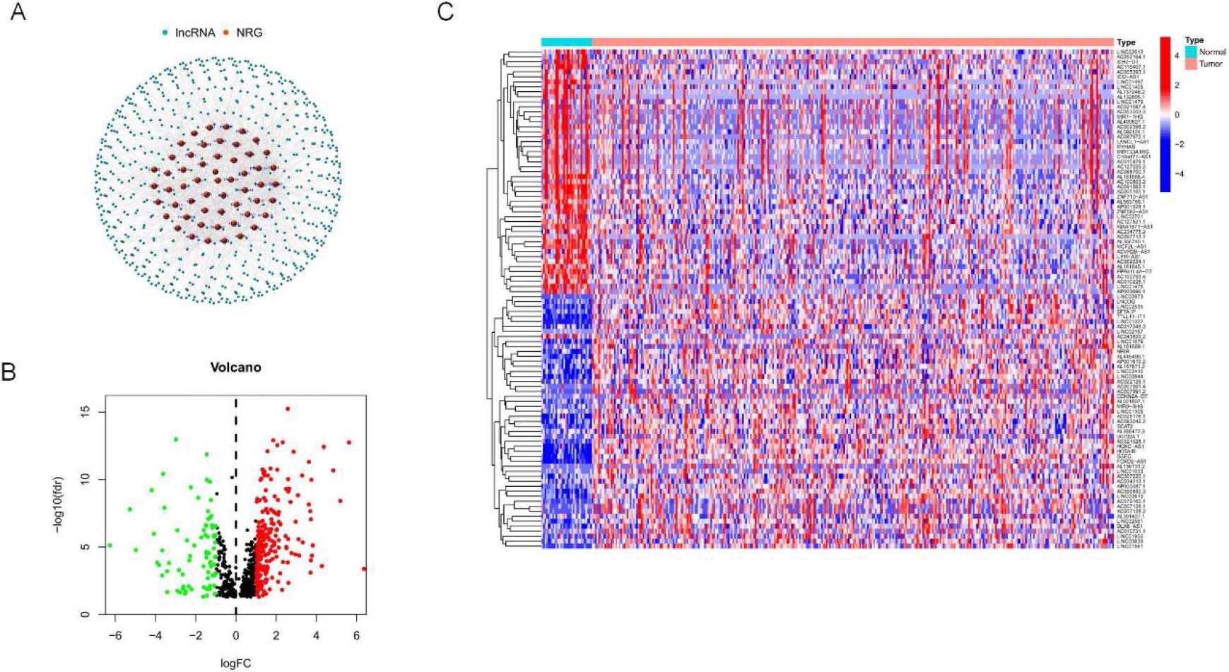 Identification of different expressions of signatures associated with necroptosis in OSCC. (A) mRNA co-expression network diagram of Signatures and necroptosis. (B–C) Volcano map and heat map of long non-coding RNA (signature) with differential expression in OSCC compared with para-carcinoma samples. (|logFC|> 1, P< 0.05).