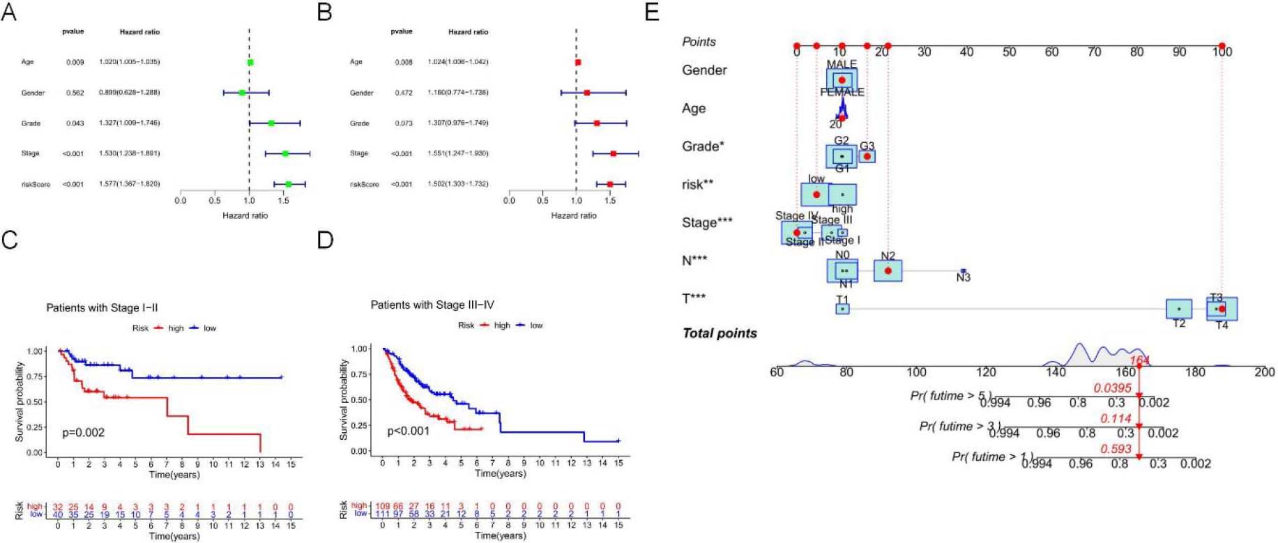 An Independent assessment of the association of NRLs markers with patient outcomes. (A) Univariate Cox regression showing the significant relationship between the survival and signature-based RS (P< 0.001), age (P= 0.009), stage (P< 0.001), and grade (P= 0.043). (B) Multivariate Cox regression identified signature-based RS (P< 0.001), age (P= 0.008), and stage (P< 0.001) as factors independently associated with patient survival. The risk score independently predicted OSCC survival in the TCGA database. **** P< 0.0001, *** P< 0.001, ** P< 0.01, *P< 0.05. (C–D) The KaplanMeier curve showed that patients in different stage with high risk displayed a shorter overall survival than those with low risk. (E) A Nomogram illustrating the relationships between RS and clinicopathological signatures.