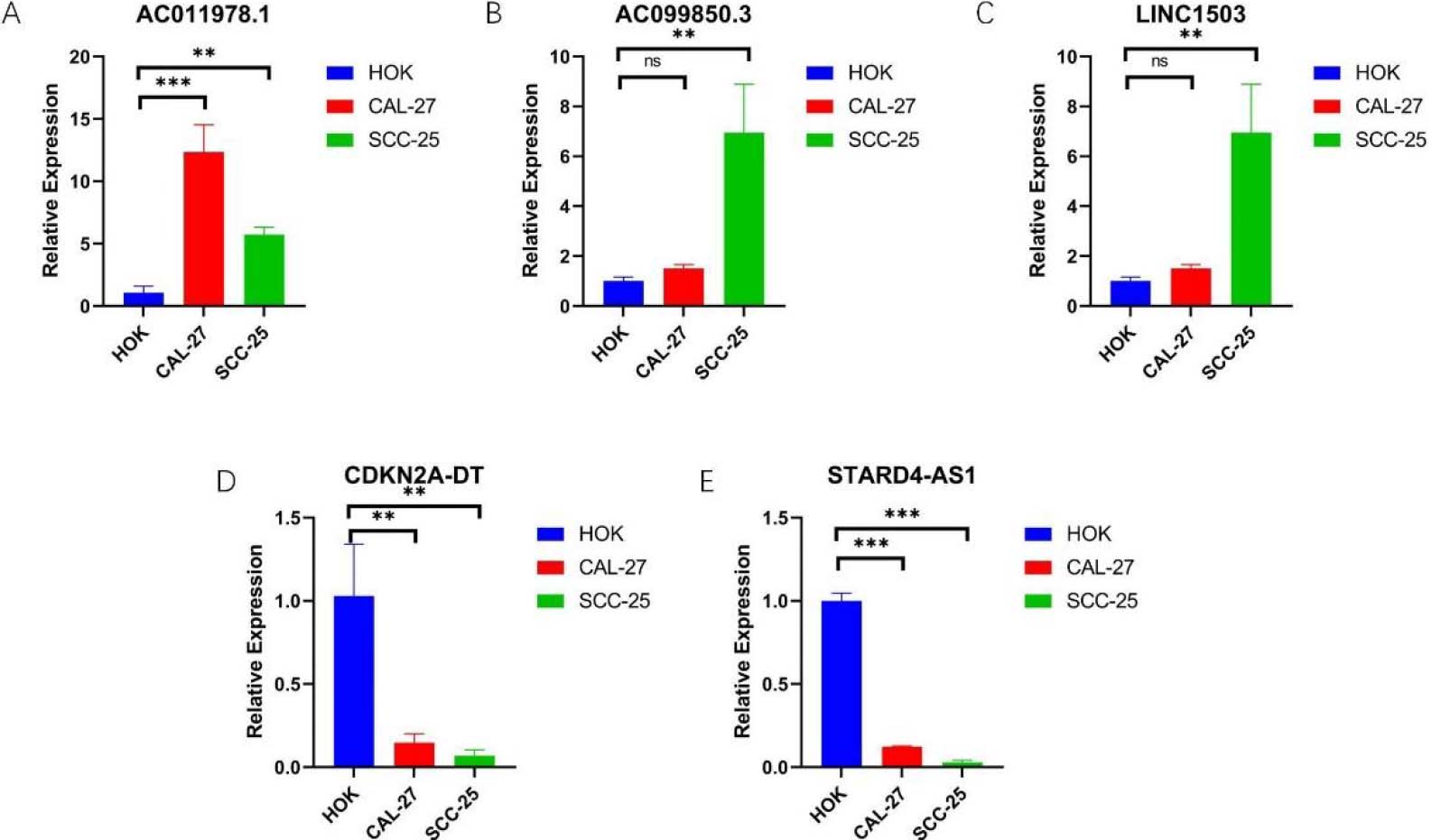 The expression of 5-NRLs in oral normal keratinoid epithelial normal cell lines and OSCC cell lines was determined by RT-qPCR. (A) AC011978.1; (B) AC099850.3; (C) LINC01503; (D) CDKN2A-DT; (E) STARD4-AS1; (*P< 0.05, **P< 0.01 and ***P< 0.001, ns: non-significant).