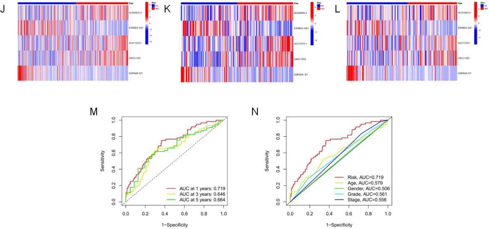 continued. (M) 1-, 3-and 5-year t-ROC curves. (N) Analysis of receiver operating characteristic curve of risk score. Relative to additional clinicopathological signatures, our signature-based RS showed increased AUC.