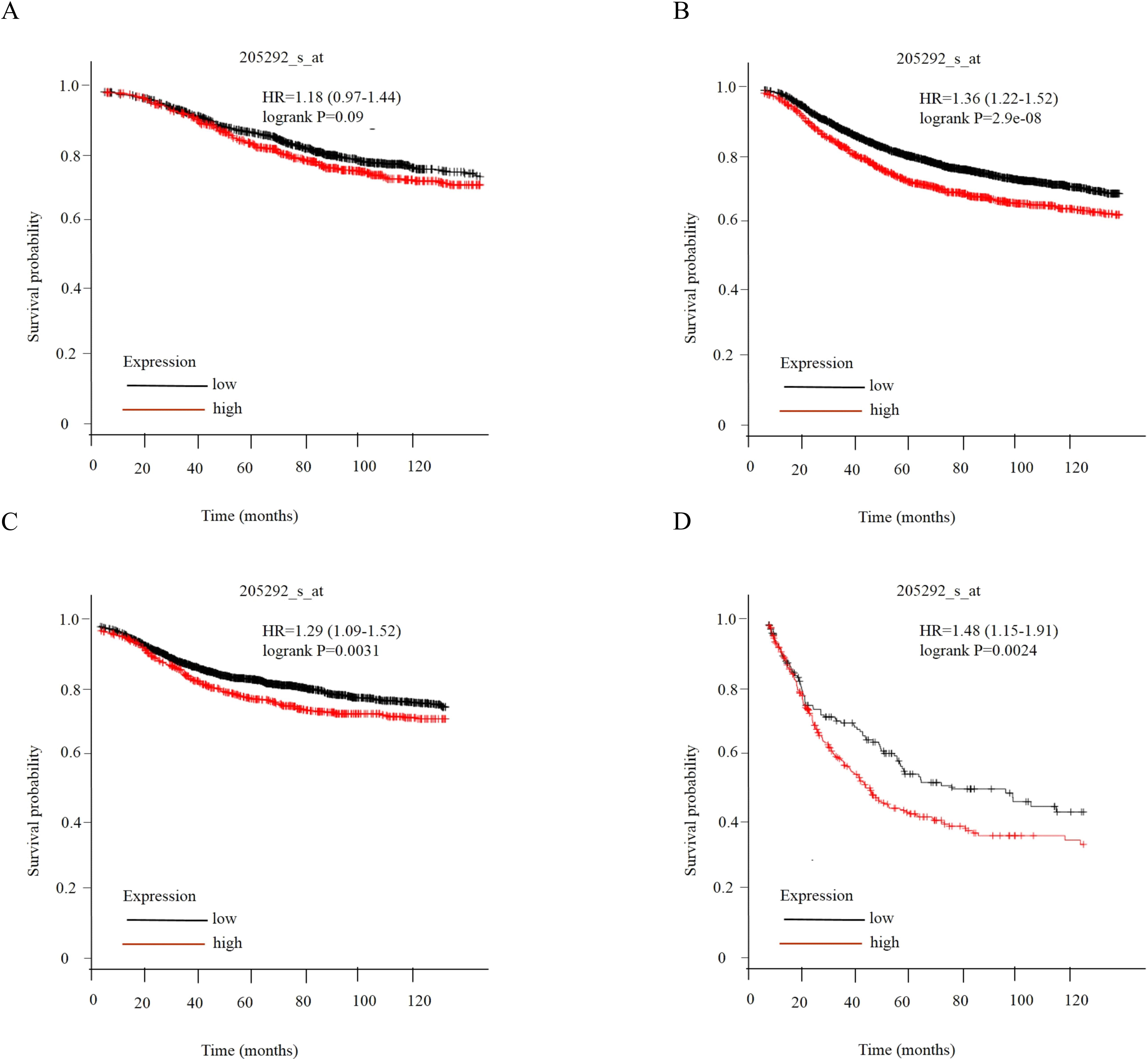 Association between HNRNPA2B1 expression level and survival. Relationship between HNRNPA2B1 expression level and patient survival in TCGA tumors using KaplanMeier Plotter, including (A) overall survival (OS), (B) relapse-free survival (RFS), (C) distant metastasis-free survival (DMFS), and (D) postprogression survival (PPS). 