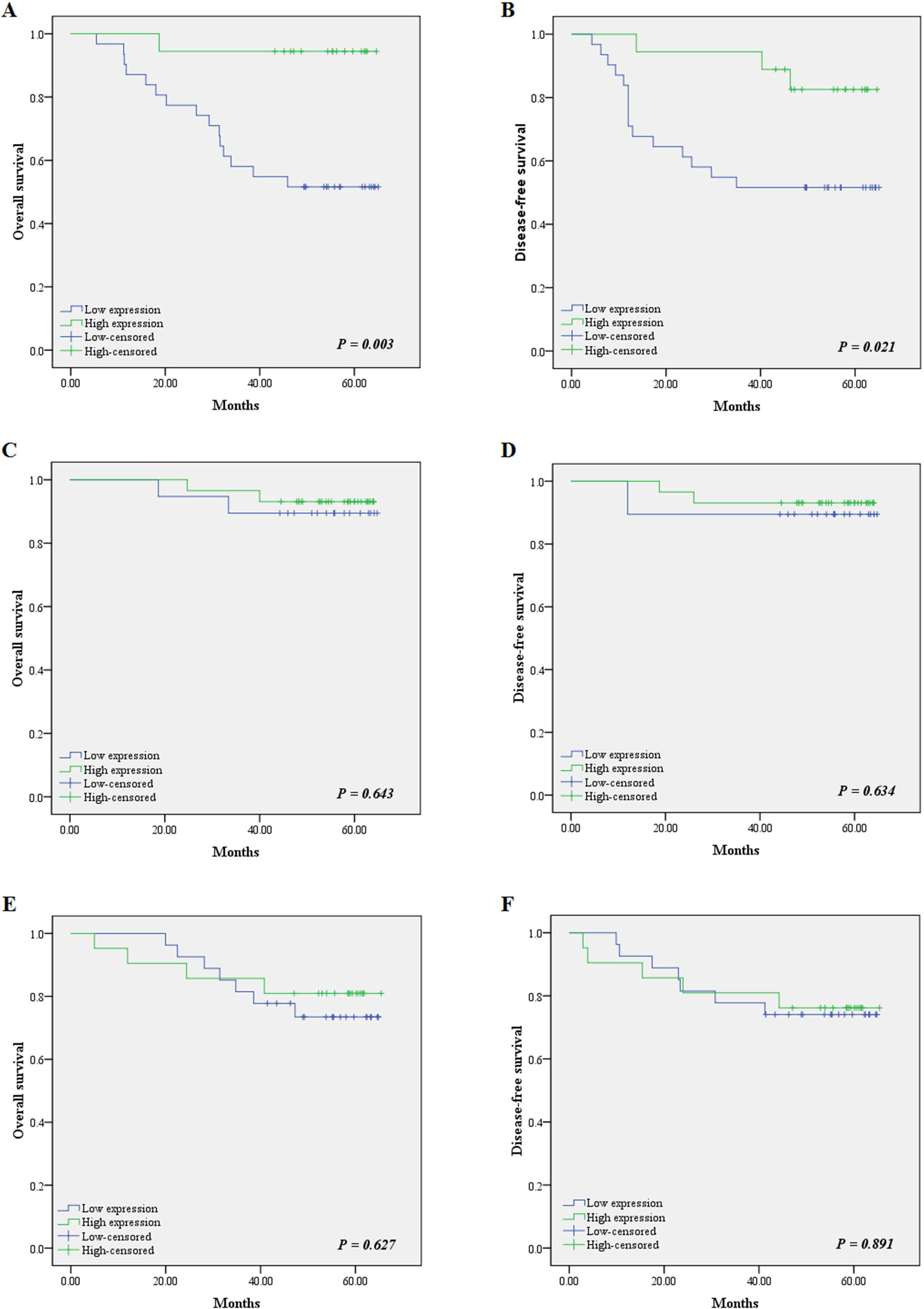 Overall survival (OS) and disease free survival (DFS) curves of low miR-141-3p and high miR-141-3p group plotted by the Kaplan-Meier method in (A–B) diffuse type, (C–D) intestinal type, (E–F) mixed type GC. Each P value was calculated by the log-rank test. P< 0.05 was defined statistically significant.