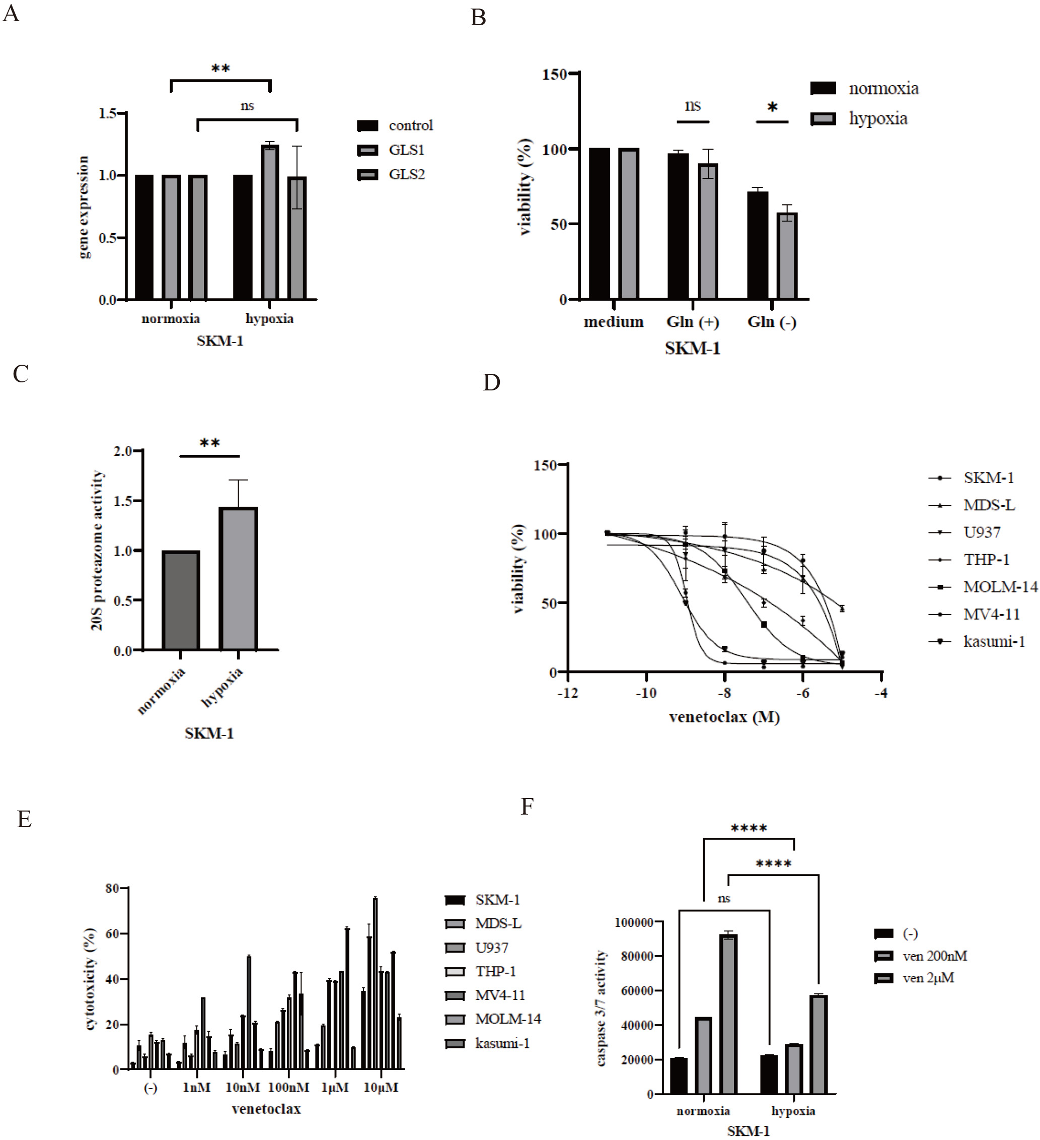 GLS1 gene expression and activity of venetoclax under hypoxic conditions. (A) SKM-1 cells were cultured in RPMI 1640 medium supplemented with 10% FBS with or without hypoxia for 24 h. Gene expressions of GLS1 and GLS2 were evaluated by RT-PCR. ** p< 0.01 was compared to control. ns, not significant. (B) SKM-1 cells were incubated with RPMI 1640 medium with or without glutamine and/or hypoxia condition for 72 h. Cell viability was analyzed by cell counting kit-8. * p< 0.05 was compared to normoxia. ns, not significant. (C) SKM-1 cells were cultured with or without hypoxia for 24 h. 20S proteasome activity was analyzed. ** p< 0.01 was compared to normoxia. (D) MDS and AML cell lines were cultured in RPMI 1640 medium supplemented with 10% FBS with the indicated concentrations of venetoclax for 72 h in normoxia. Cell growth was evaluated using the CellTiter-Glo™ Luminescent Cell Viability Assay Kit or Cell Counting Kit-8. (E) MDS and AML cell lines were cultured in RPMI 1640 medium supplemented with 10% FBS with the indicated concentrations of venetoclax for 72 h in normoxia. Cell growth was evaluated using the Cytotoxicity LDH Assay Kit. (F) SKM-1 cells were treated with the indicated concentrations of venetoclax for 48 h. Caspase 3/7 activity was analyzed using the Caspase Glo 3/7 Assay Kit. **** p< 0.0001 were compared to normoxia condition. ns, not significant.