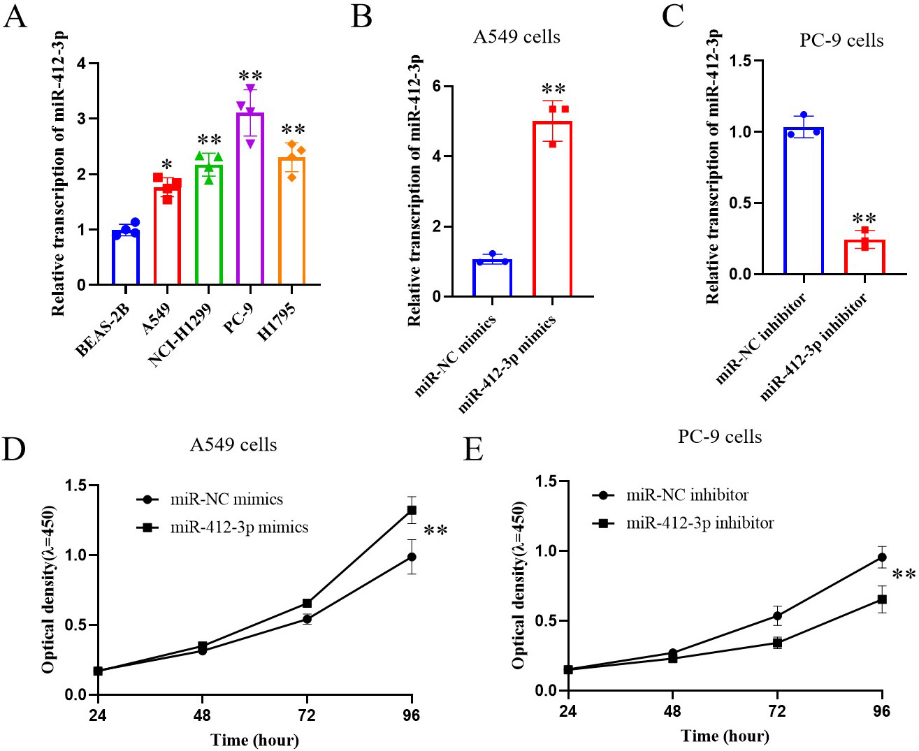 miR-412-3p expression in lung cancer cells and its effect on cell viability. (A) RT-qPCR detection of miR-412-3p transcription levels in lung cancer cells; (B, C) RT-qPCR was used to detect the transcriptional levels of miR-412-3p in A549 and PC-9 cells transfected with miR-412-3p mimics and miR-412-3p inhibitor, respectively; (D, E) CCK-8 was used to detect the effect of transfection of miR-412-3p mimics and miR-412-3 inhibitor on cell viability. * P< 0.05, ** P< 0.01, compared to the control group. All the results are representative of three independent experiments.