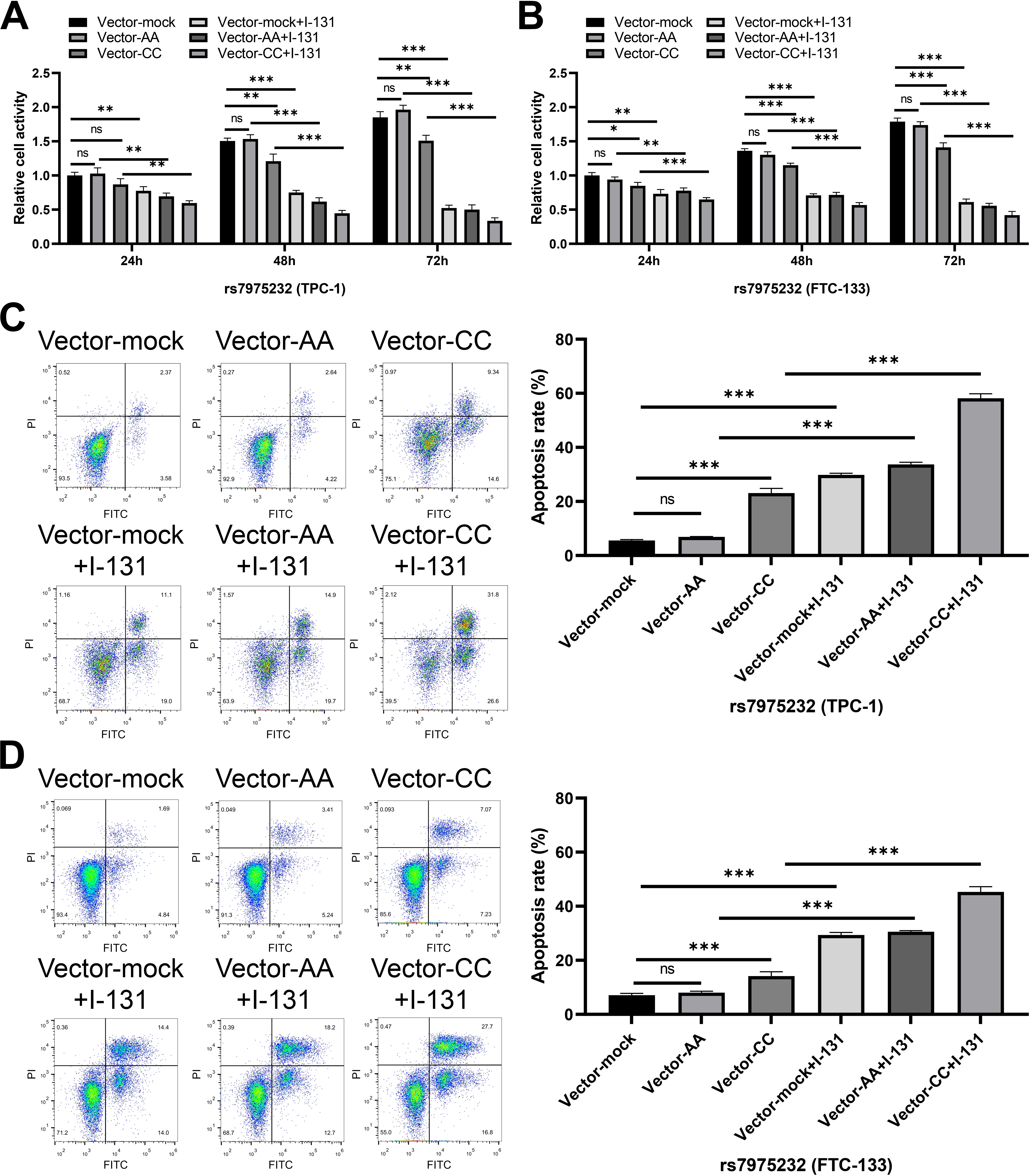 The effect of rs7975232 on proliferation and apoptosis of thyroid cancer cells. (A–B) The proliferation activity of TPC-1 (A) and FTC-133 (B) cells in different treatment groups (rs7975232) was analyzed via CCK-8 assay. Data are represented as mean ± SD from three independent experiments. (ns represents no significant difference, *P < 0.05, **P < 0.01, ***P < 0.001). (C–D) The apoptosis level of TPC-1 (C) and FTC-133 (D) cells in different treatment groups (rs7975232) was analyzed via flow cytometry. Data are represented as mean ± SD from three independent experiments. (ns represents no significant difference, ***P < 0.001).