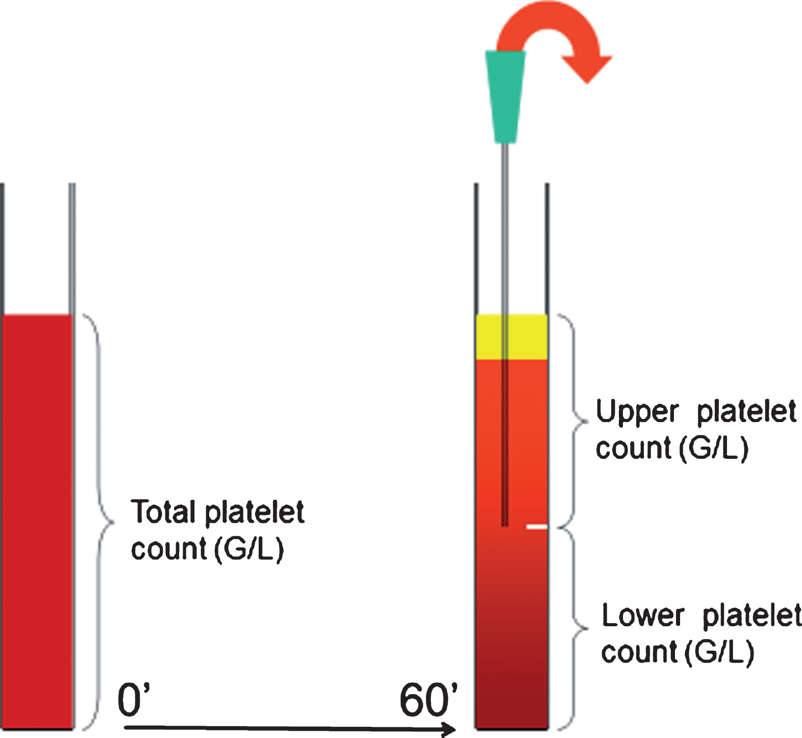 Schematic drawing of platelet antisedimentation measurement.