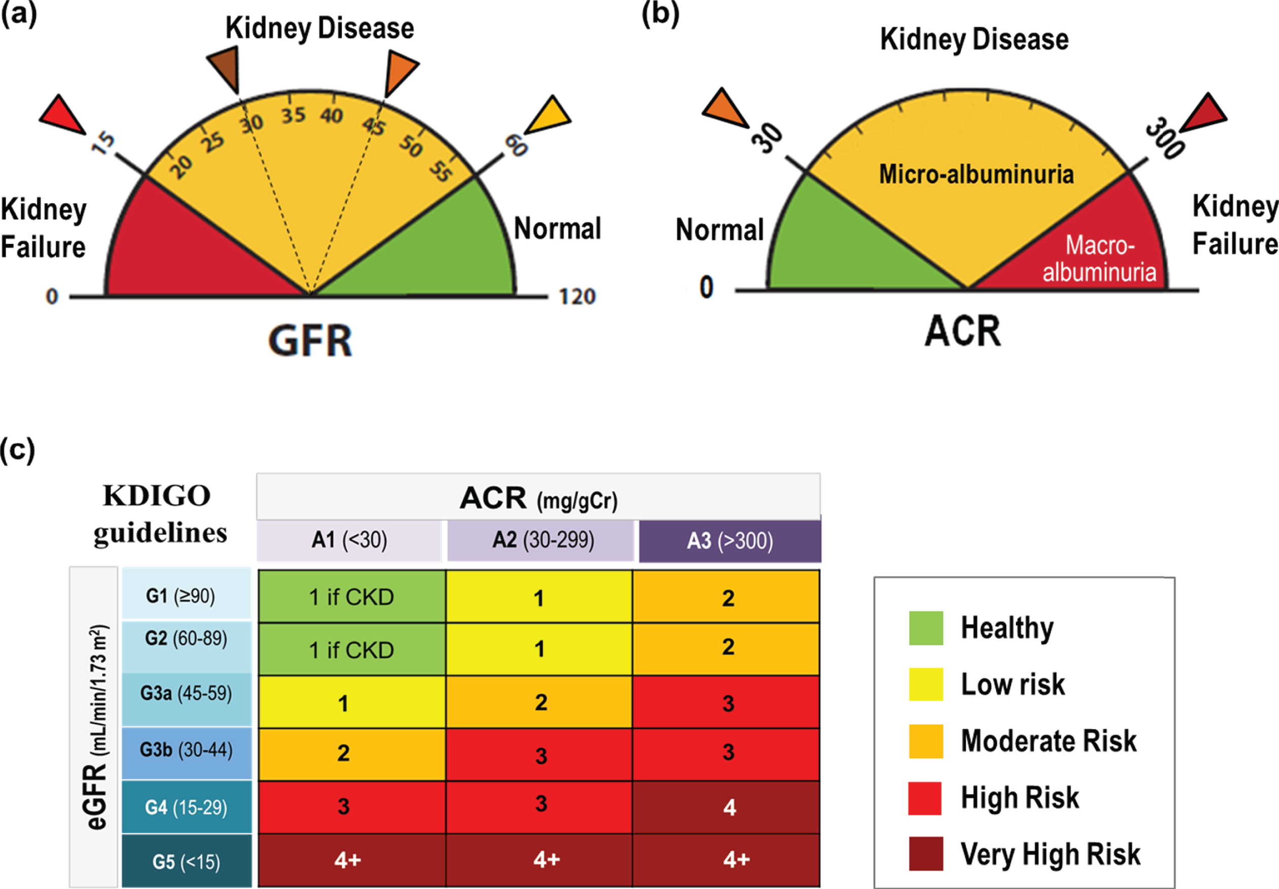 Classification of CKD using (a) GFR and (b) albuminuria, (c) Classification of CKD using GFR and ACR categories: KDIGO guidelines with a categorical risk analysis (cited from Ref. [9]).