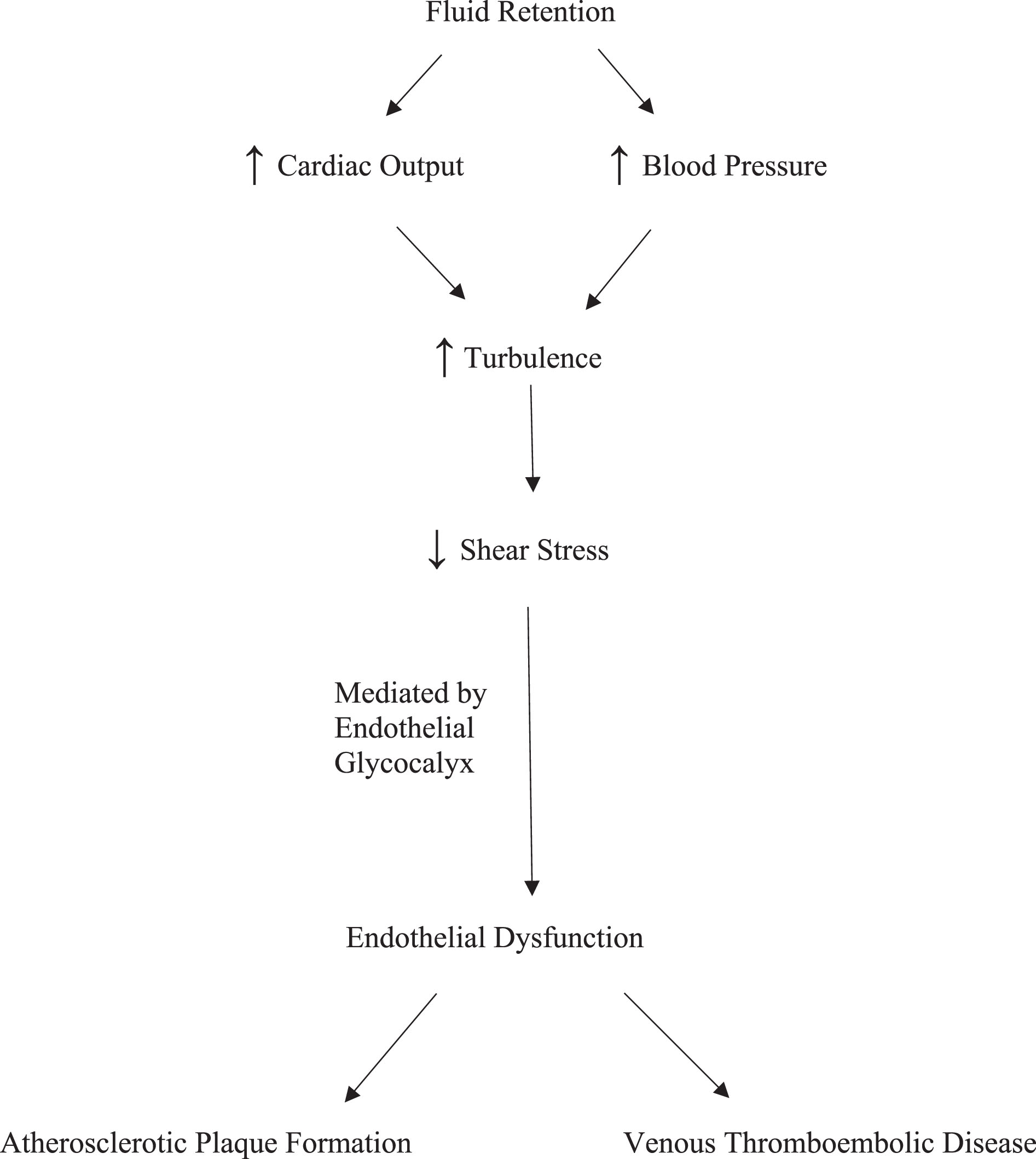 Proposed Pathway Linking Fluid Retention with Endothelial Dysfunction and Cardiovascular Disease.