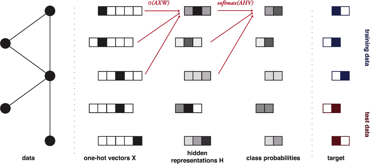 The Graph Convolutional Neural Network. Vertices are represented as one-hot vectors, which are translated to a lower-dimensional space from which class probabilities are obtained with a softmax layer.