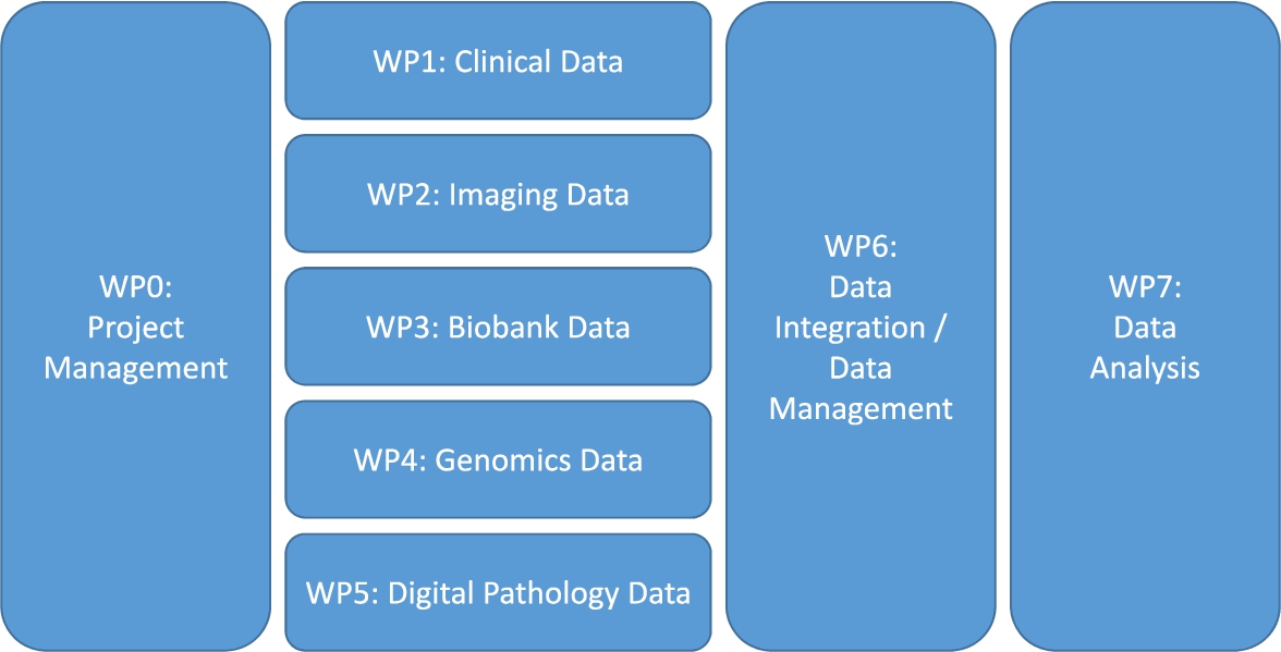 A proposed work package (WP) structure for a translational research project.