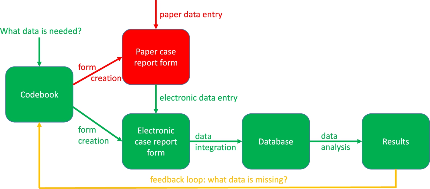 The clinical data collection process.