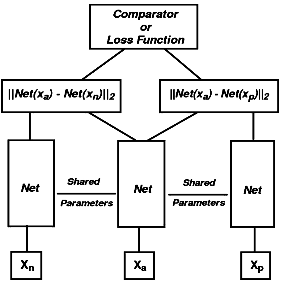 A schematic representation of triplet neural network architecture, which consists three feed forward neural networks of the same instance with shared parameters.