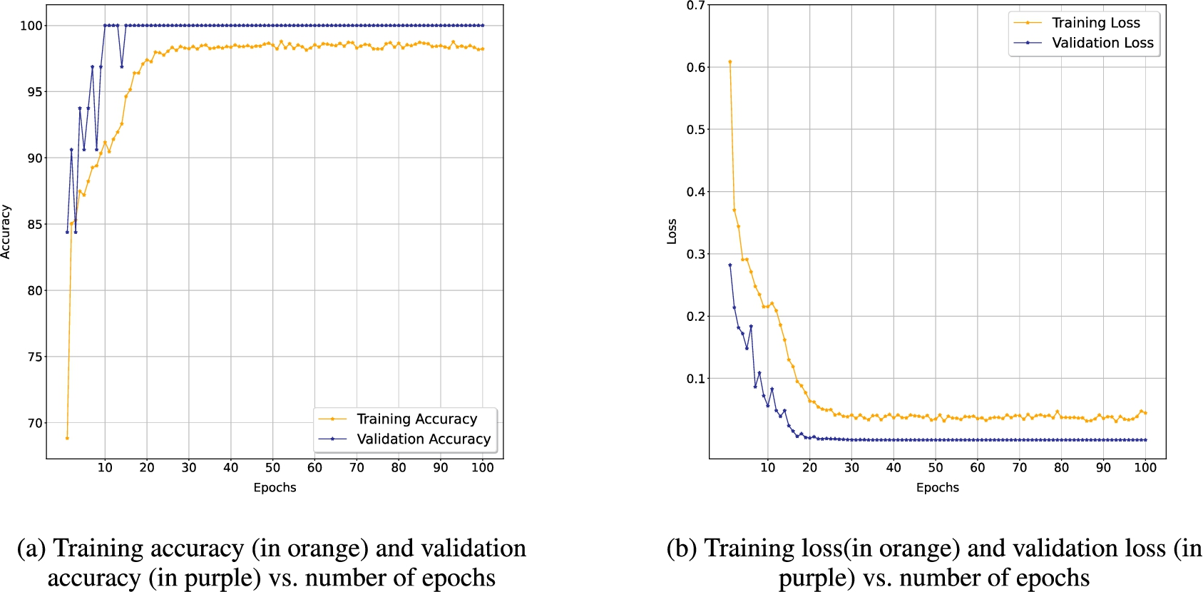 Training and validation curves of the GNN framework for simile detection.
