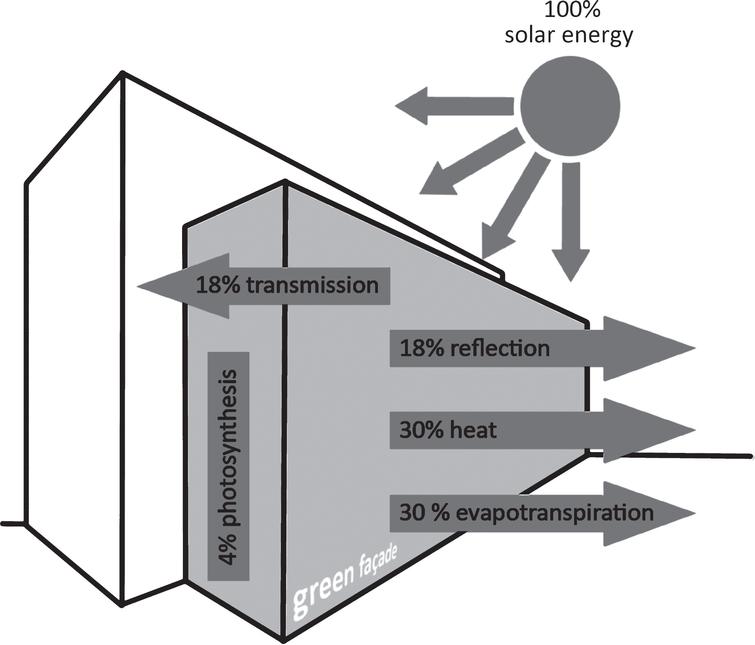 Schematic diagram of energy processes on green façades. Illustration: Michael J. Paar according to Per Krusche.