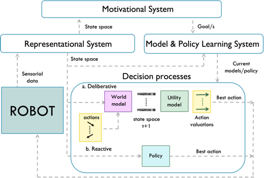 Diagram of the decision-making processes involved in LOLA.