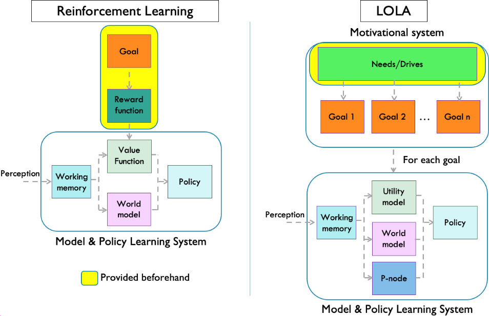 Schematic representation of the processes involved in online policy learning for a robot in traditional RL settings and in LOLA settings. The goal represented in the figure are operational, so they are related with the task to be solved in specific domains.